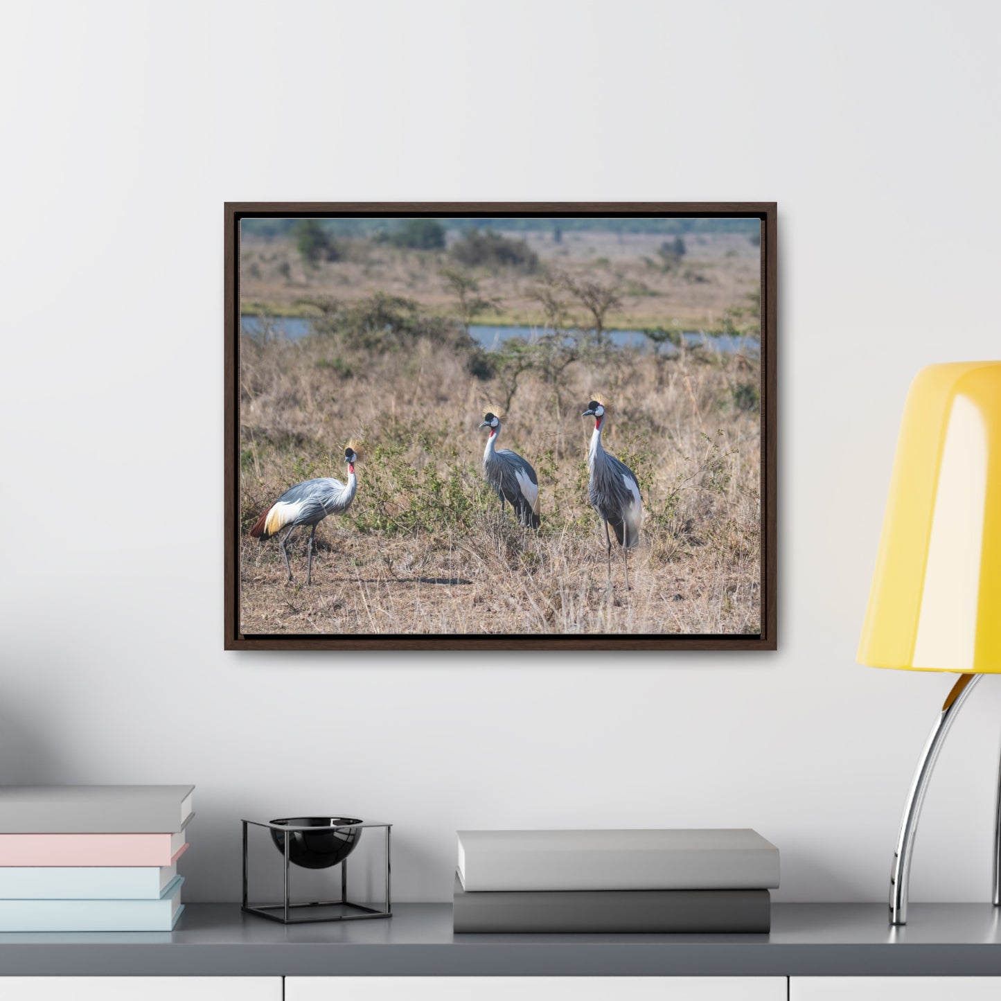 Canvas Wraps, African Crane in the Savannah Wall Art Decor - Horizontal Frame, Wildlife Nature Photography Print, Safari