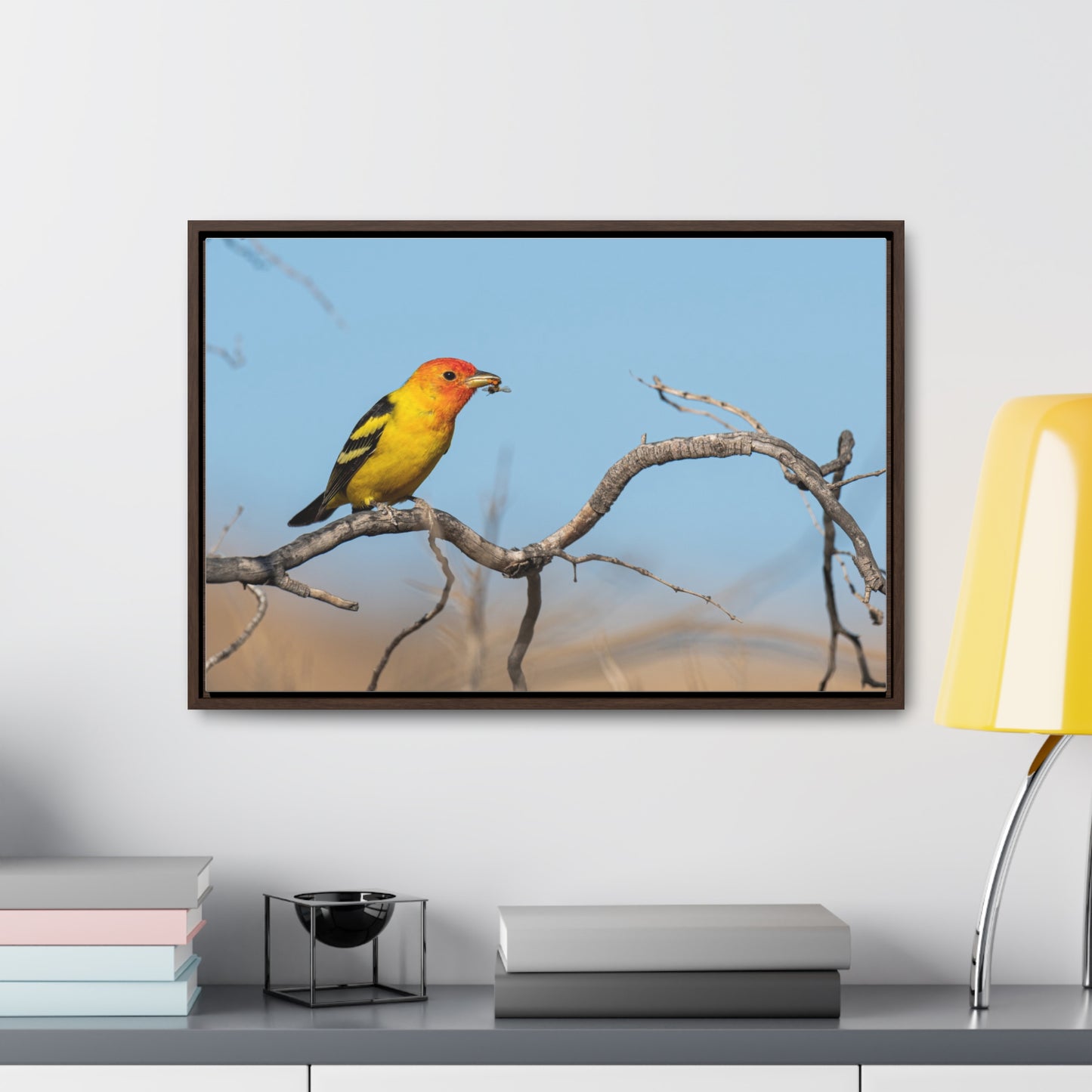Canvas Wrap - Western Tanager