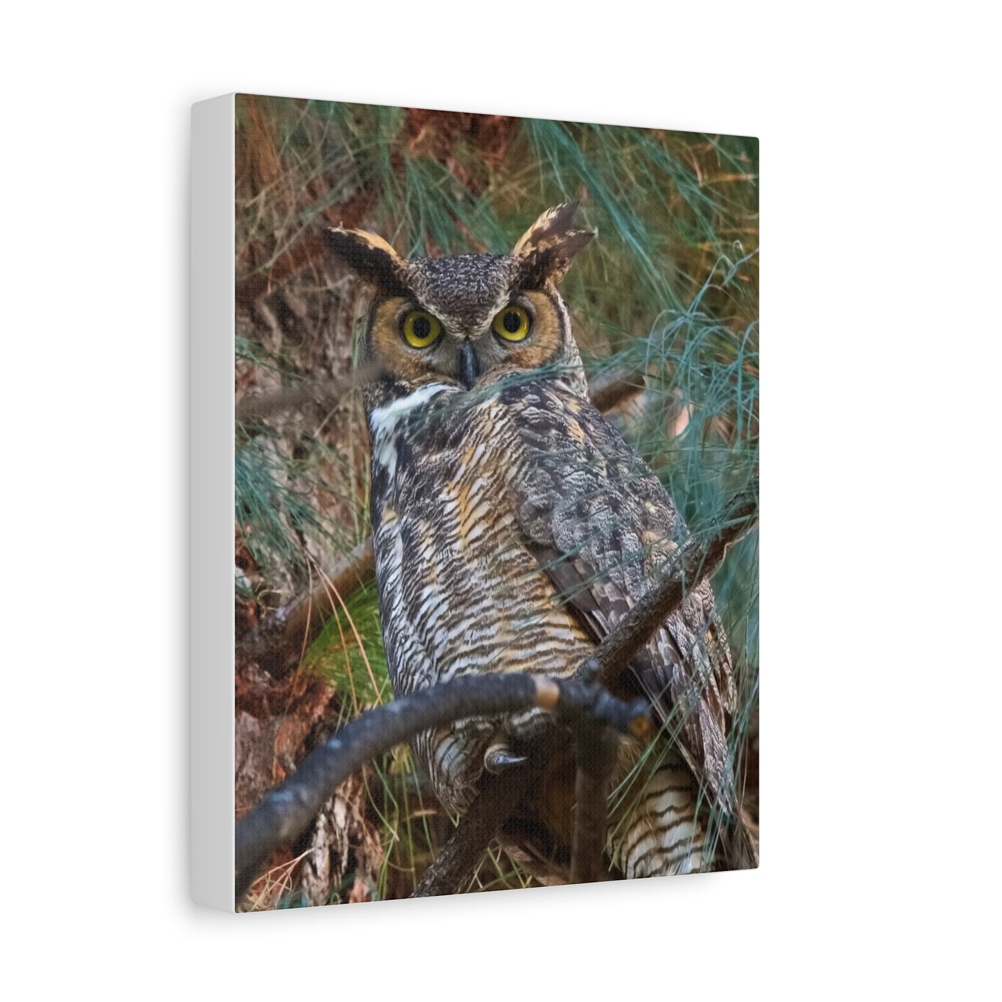 Canvas Print - Great Horned Owl Guardian of the Night