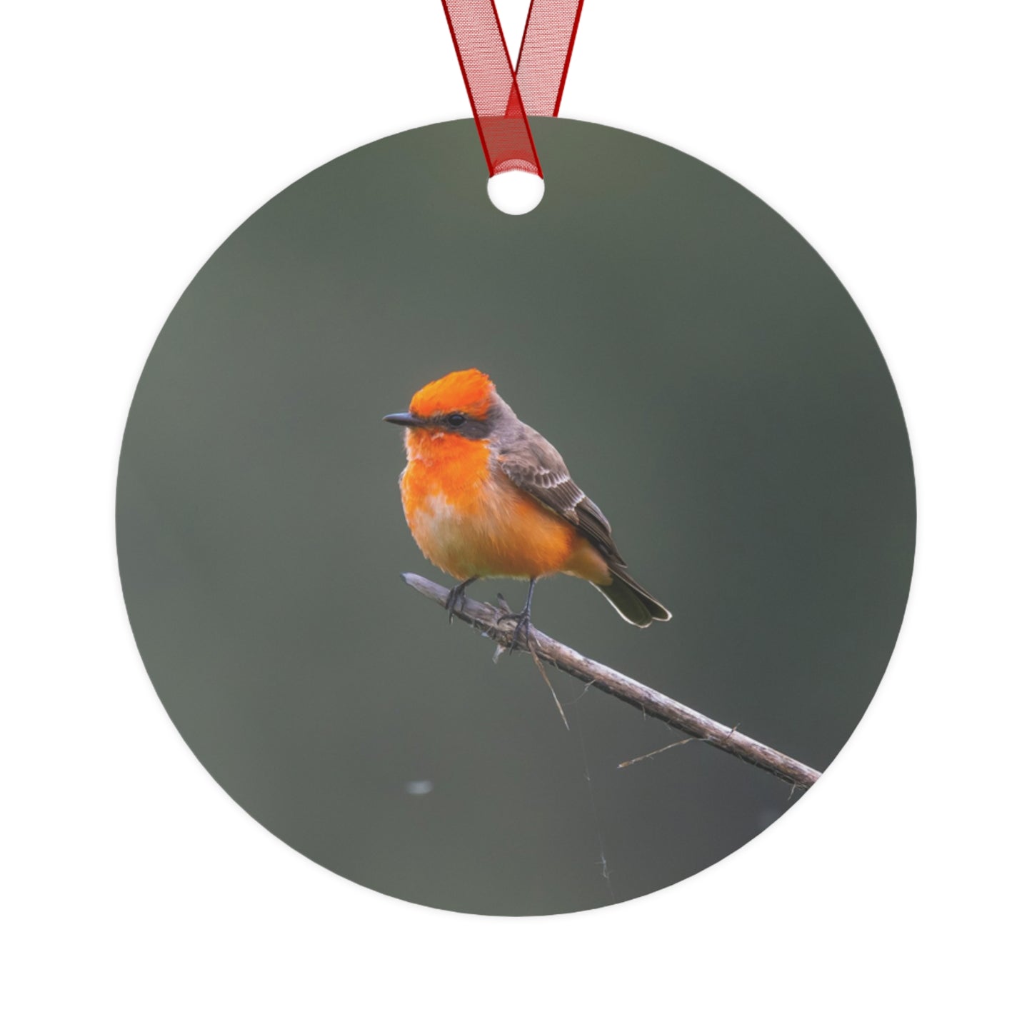 Metal Ornament - Vermillion Flycatcher for the Holidays