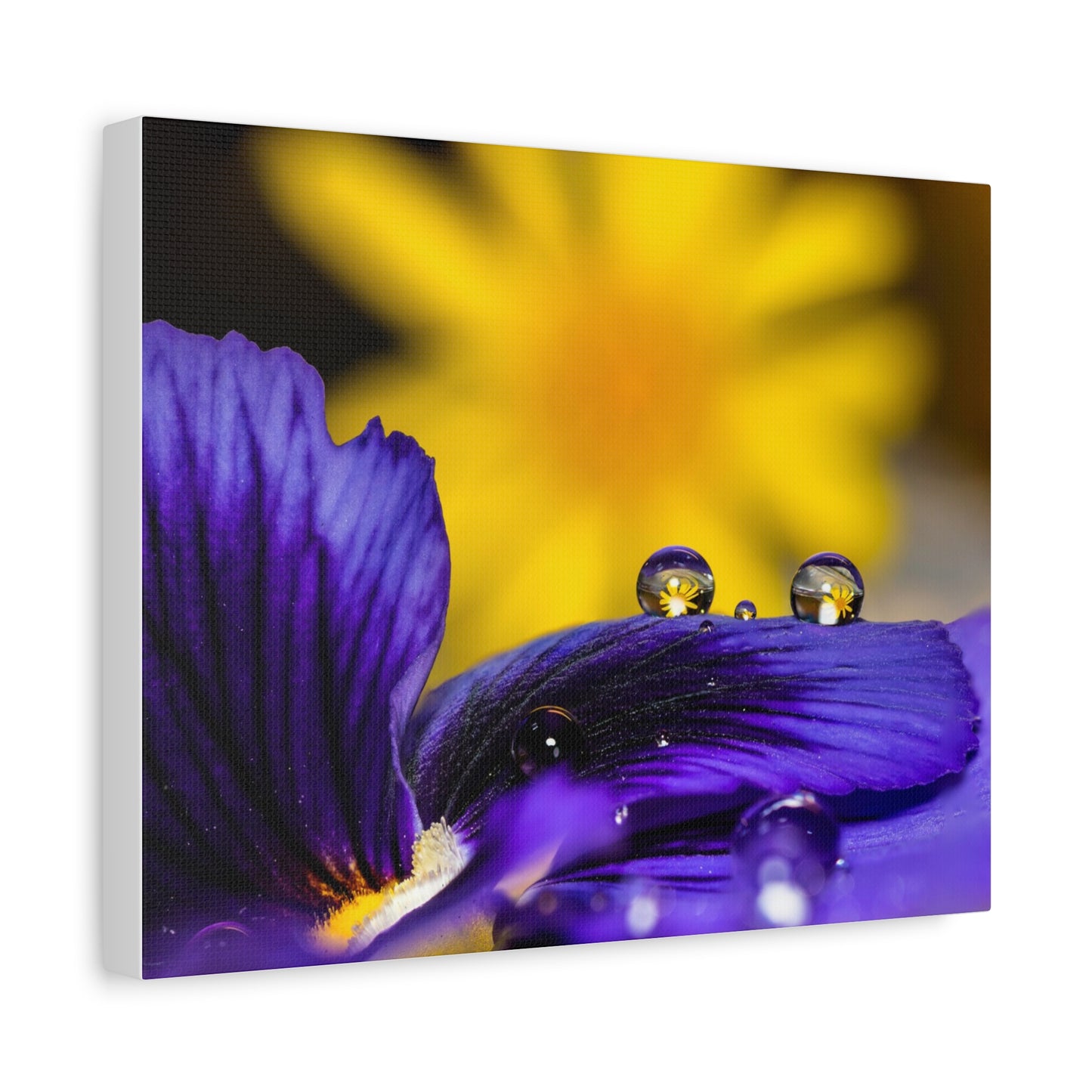 Canvas Print - Purple and Yellow