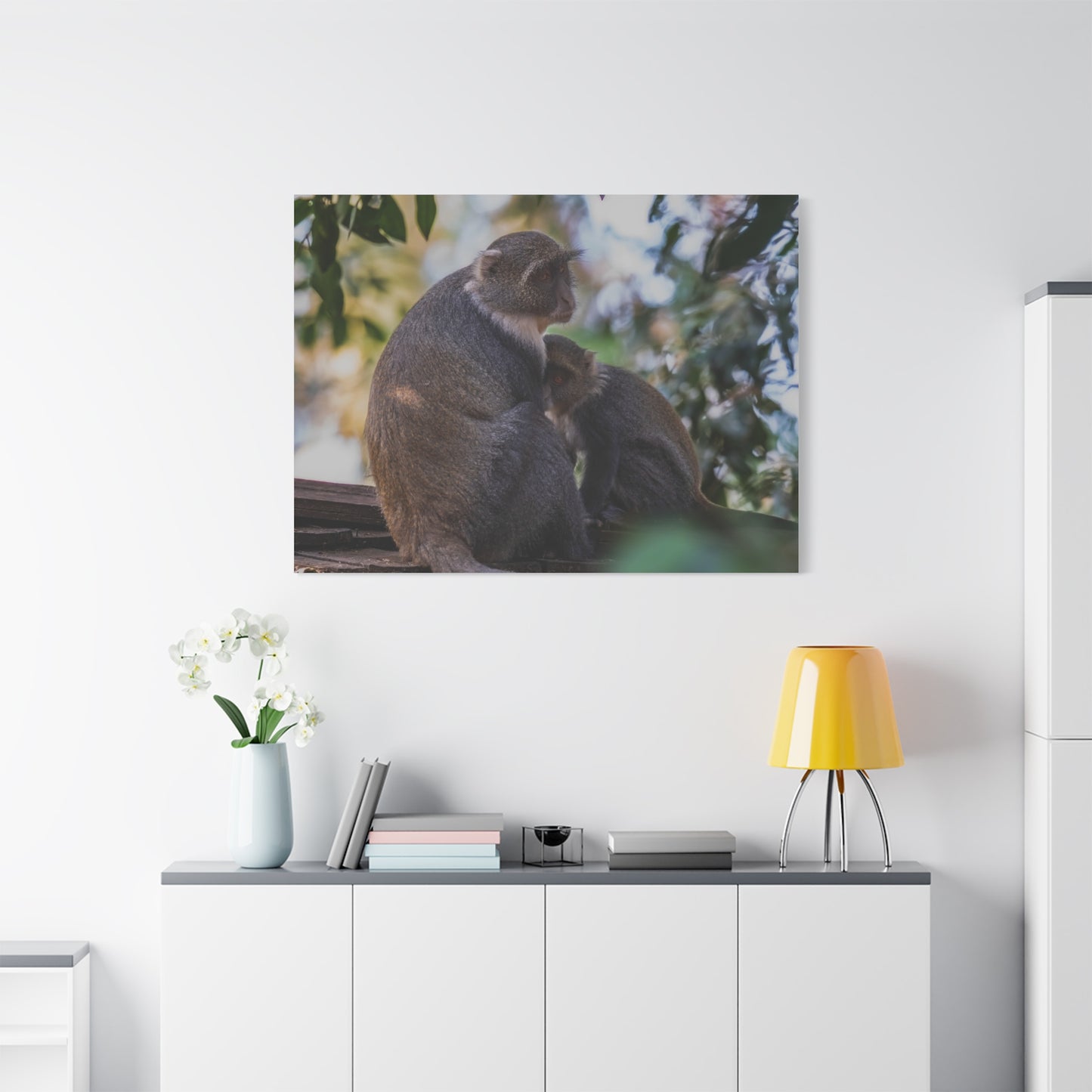 Canvas Print: Sykes Monkey