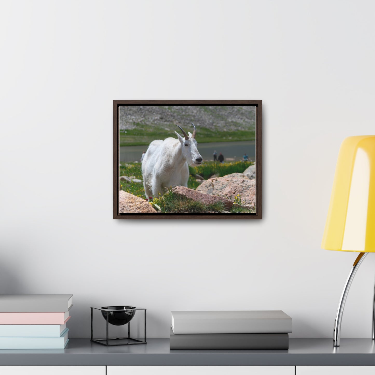 Canvas Wraps - Mountain Goat in Colorado