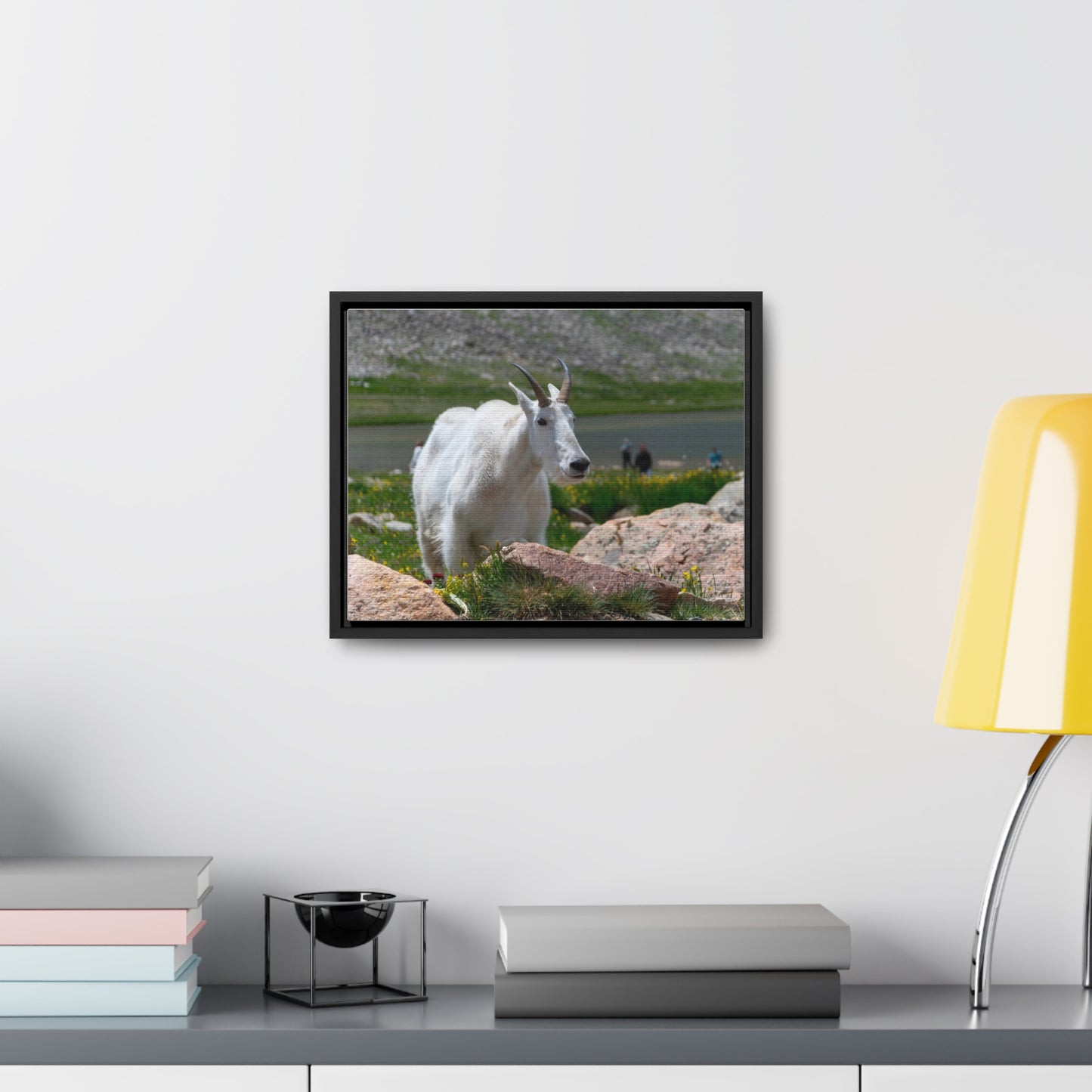 Canvas Wraps - Mountain Goat in Colorado