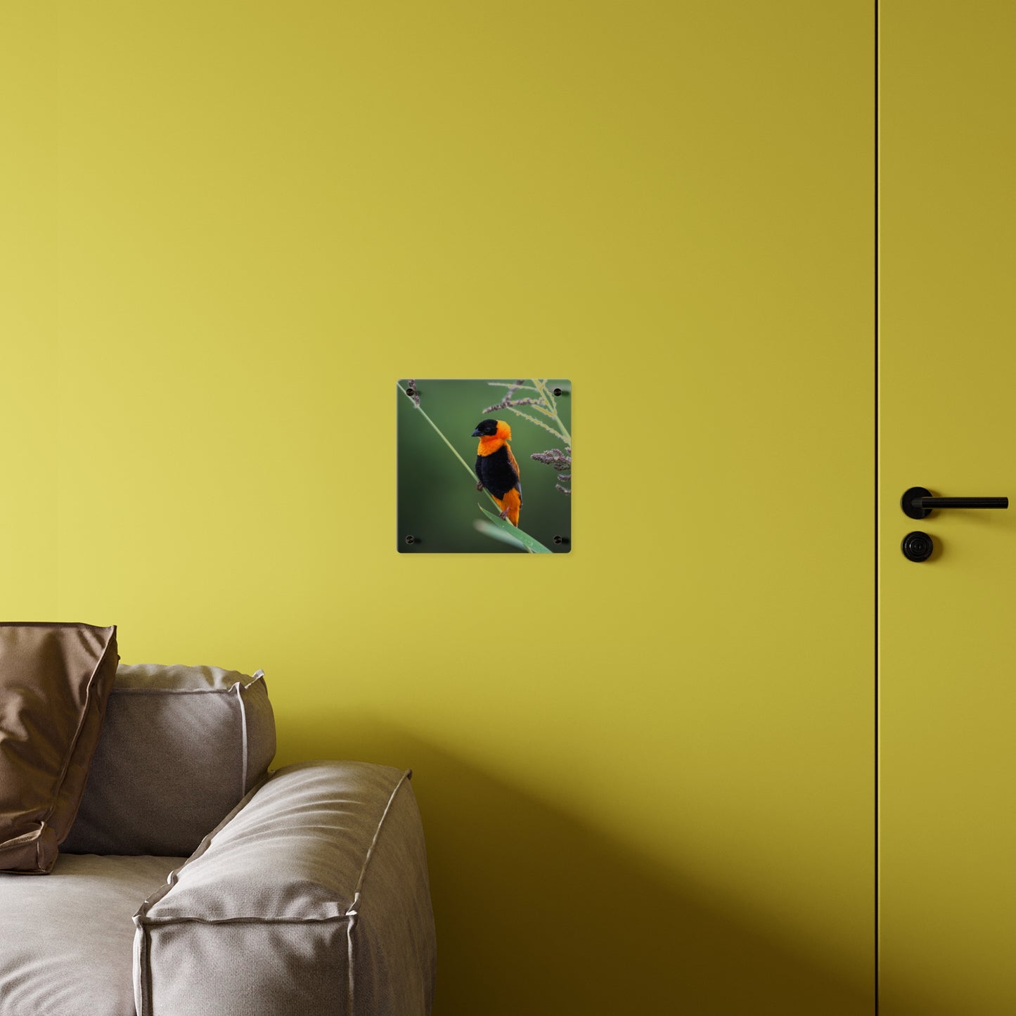 Acrylic Wall Art Panel - Vibrant Northern Red Bishop Weaver from Africa