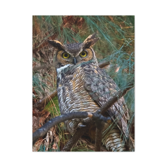 Canvas Print - Great Horned Owl Guardian of the Night