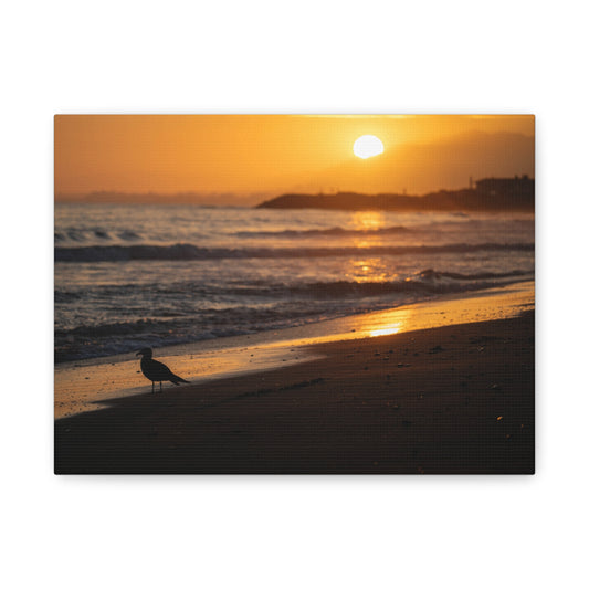 Canvas Print - Serene Sunset Silhouette at the Beach