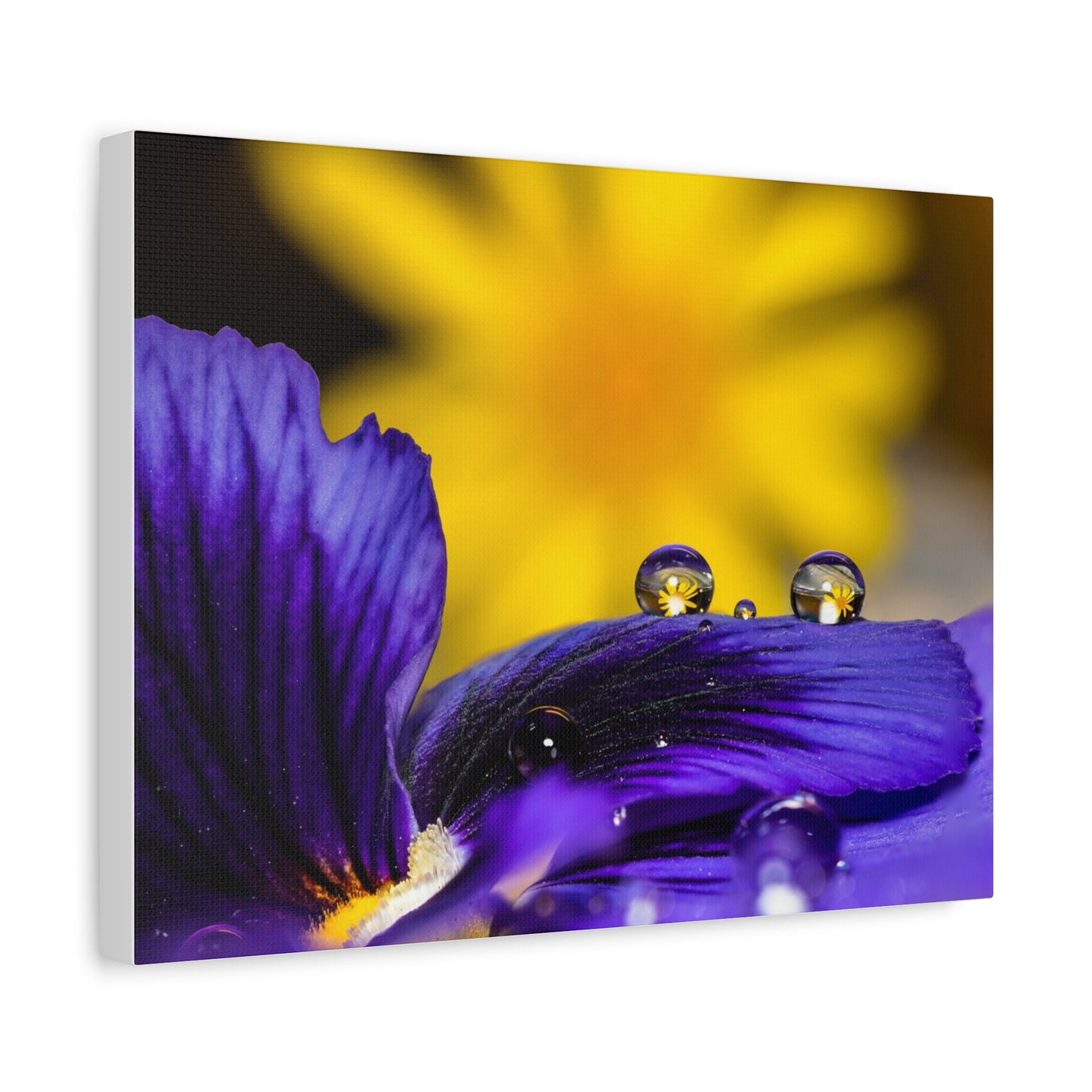 Canvas Print - Purple and Yellow