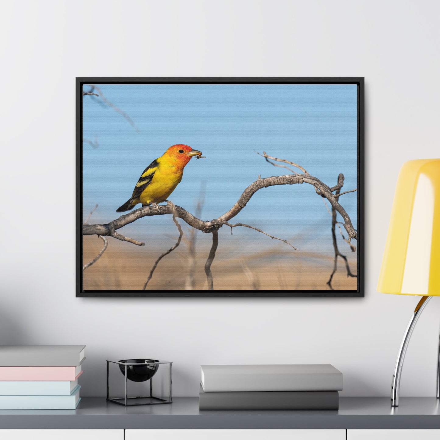 Canvas Wrap - Western Tanager