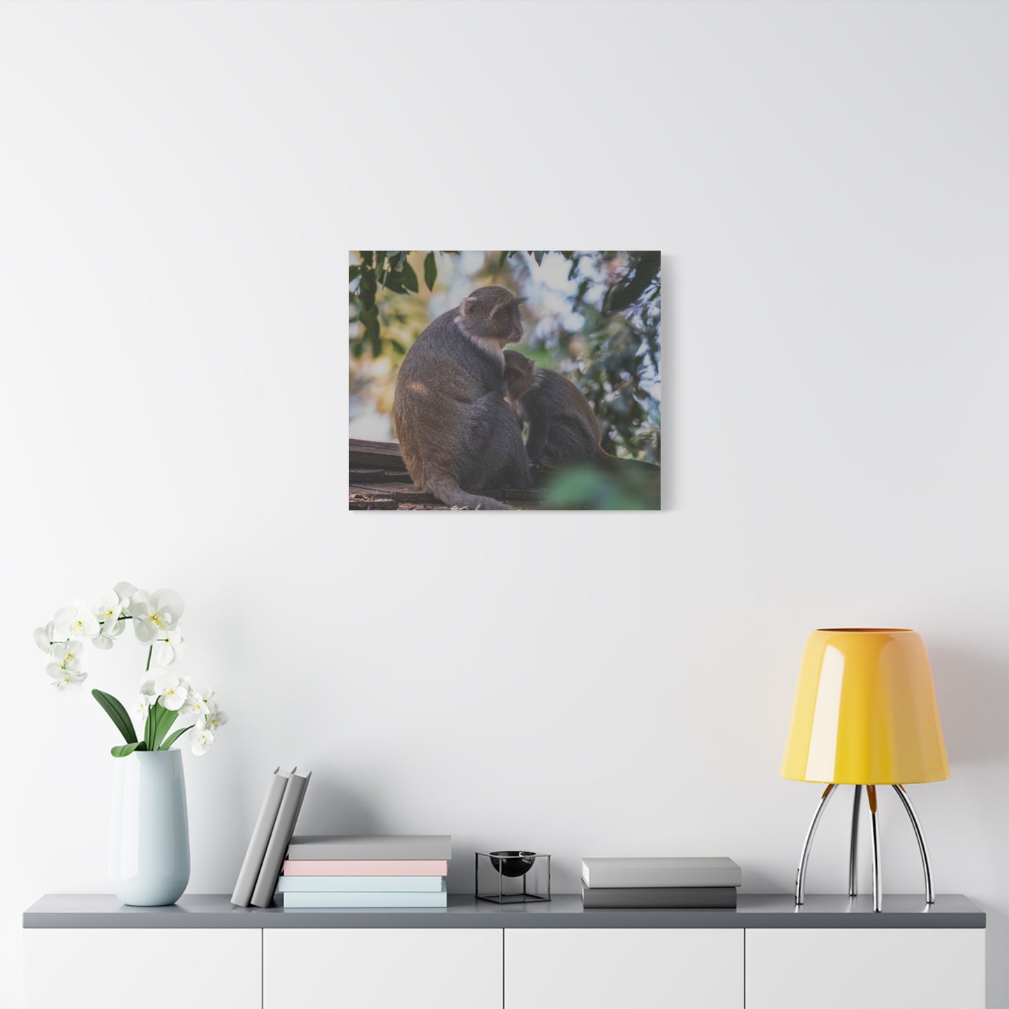 Canvas Print: Sykes Monkey