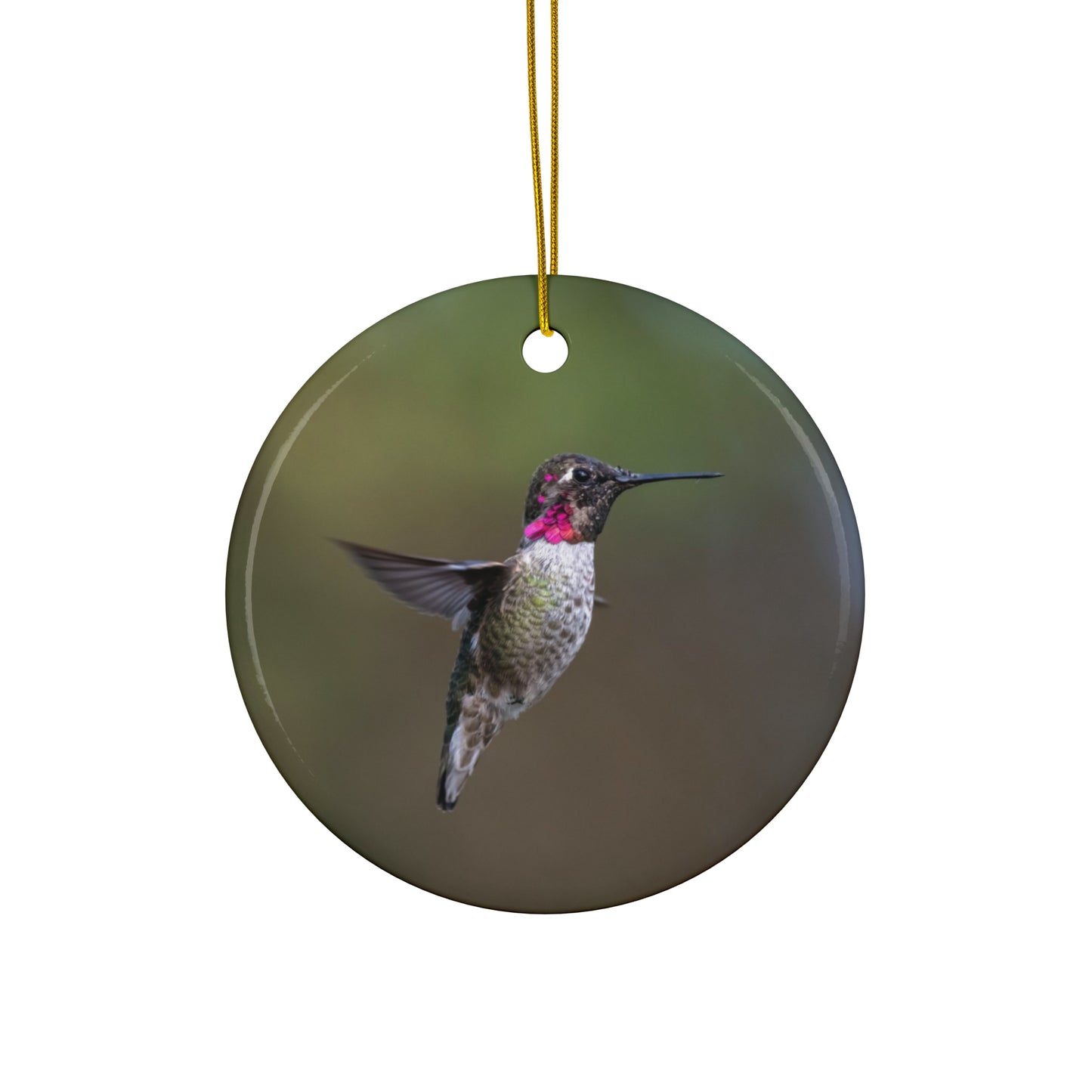 Humming Bird Ceramic Ornament