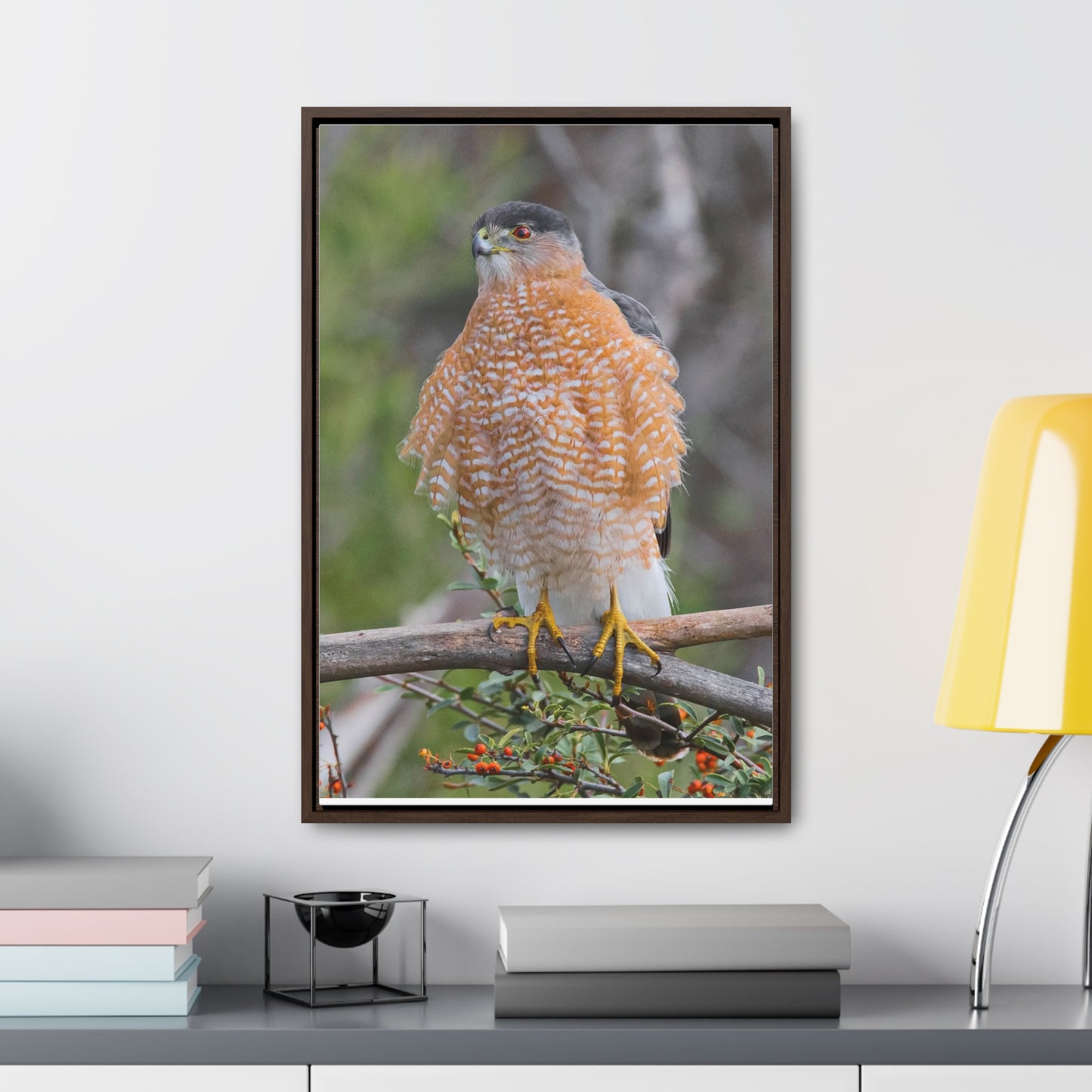 Canvas Wrap Cooper's Hawk