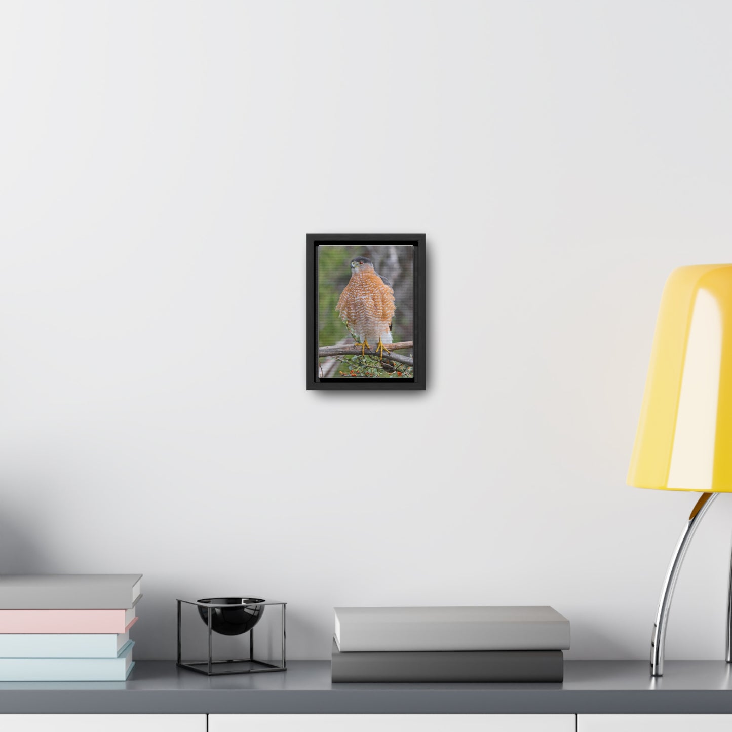 Canvas Wrap Cooper's Hawk