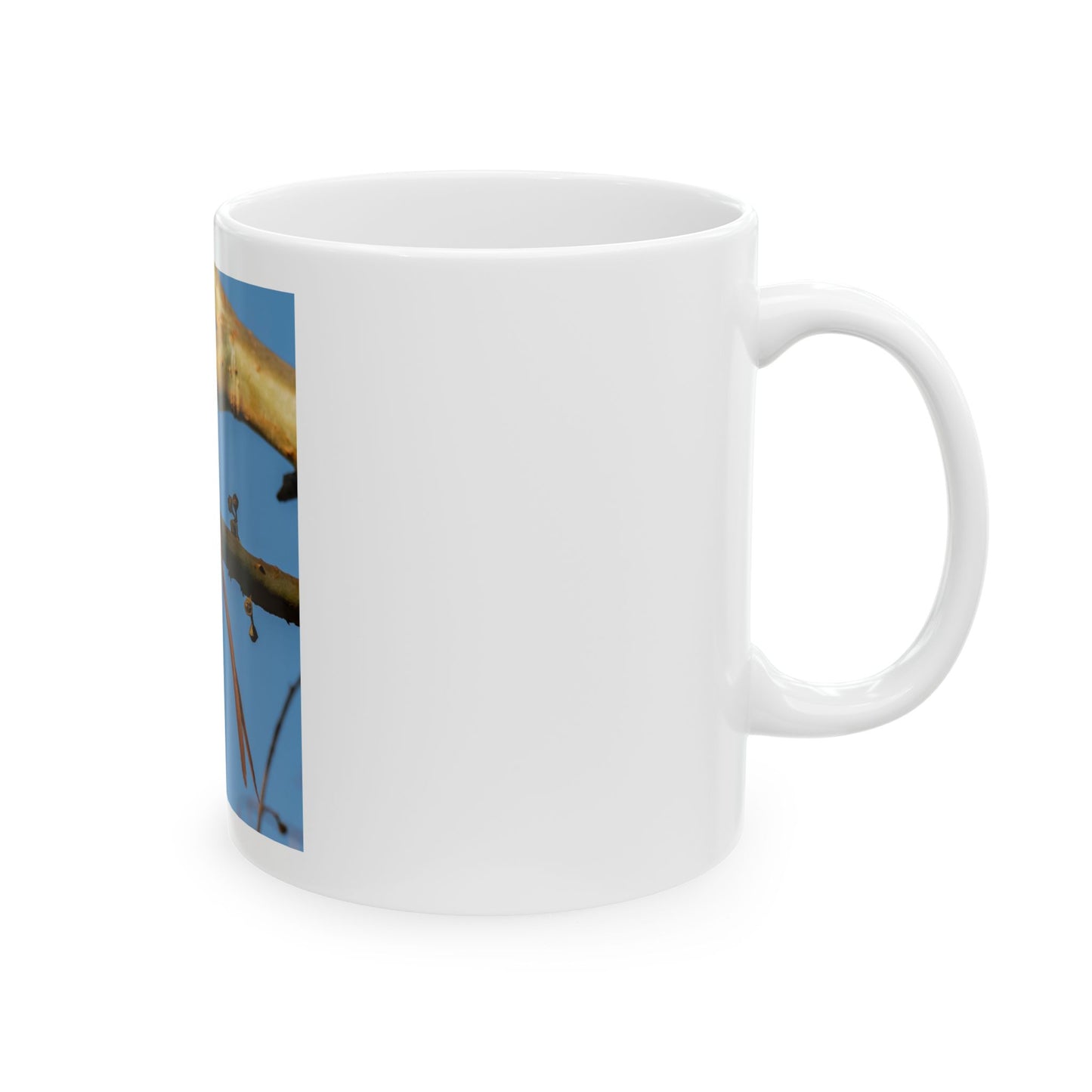 Ceramic Mug Wings of Africa Featuring African Paradise Flycatcher, Bird Lover Gift, Nature Inspired Cup, Coffee Mug, Tea Cup,
