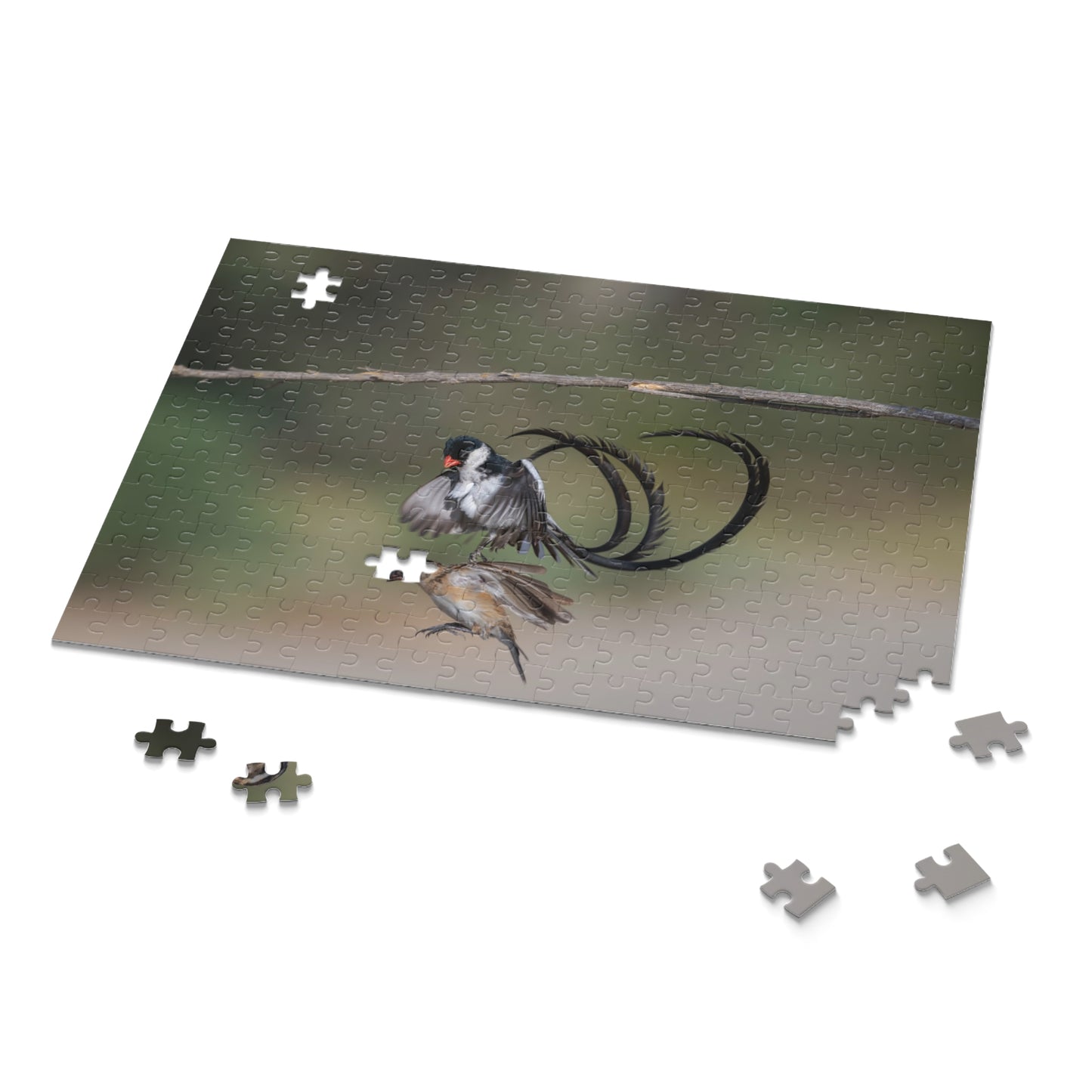 Puzzle, Male and Female Pin Tailed Wydah in Flight, Jigsaw Game, Bird Lover Gift, Relaxation Activity, 120, 252, 500-Piece