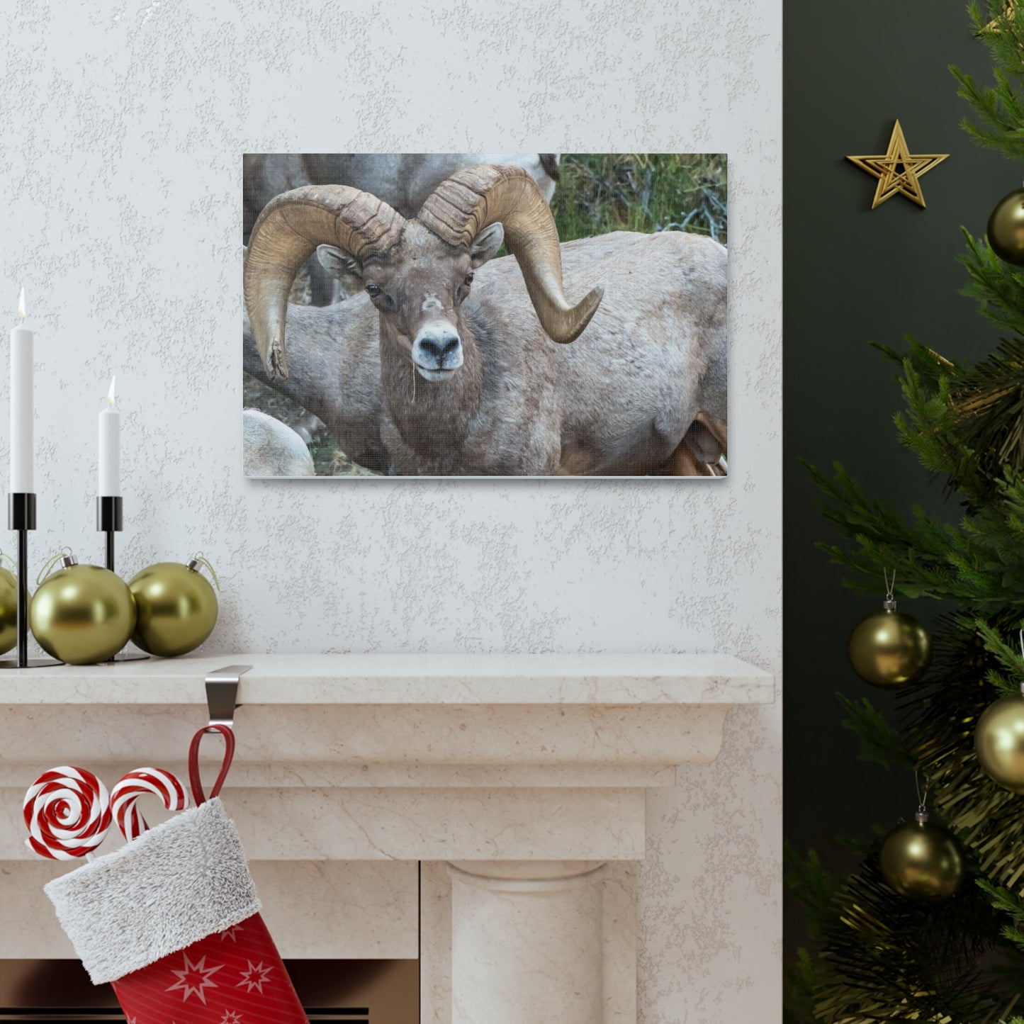 Canvas Gallery Wraps - Big Horn Sheep Wall Art, Wildlife Home Decor, Nature Photography, Animal Canvas Print, Mountain Artwork, Wildlife