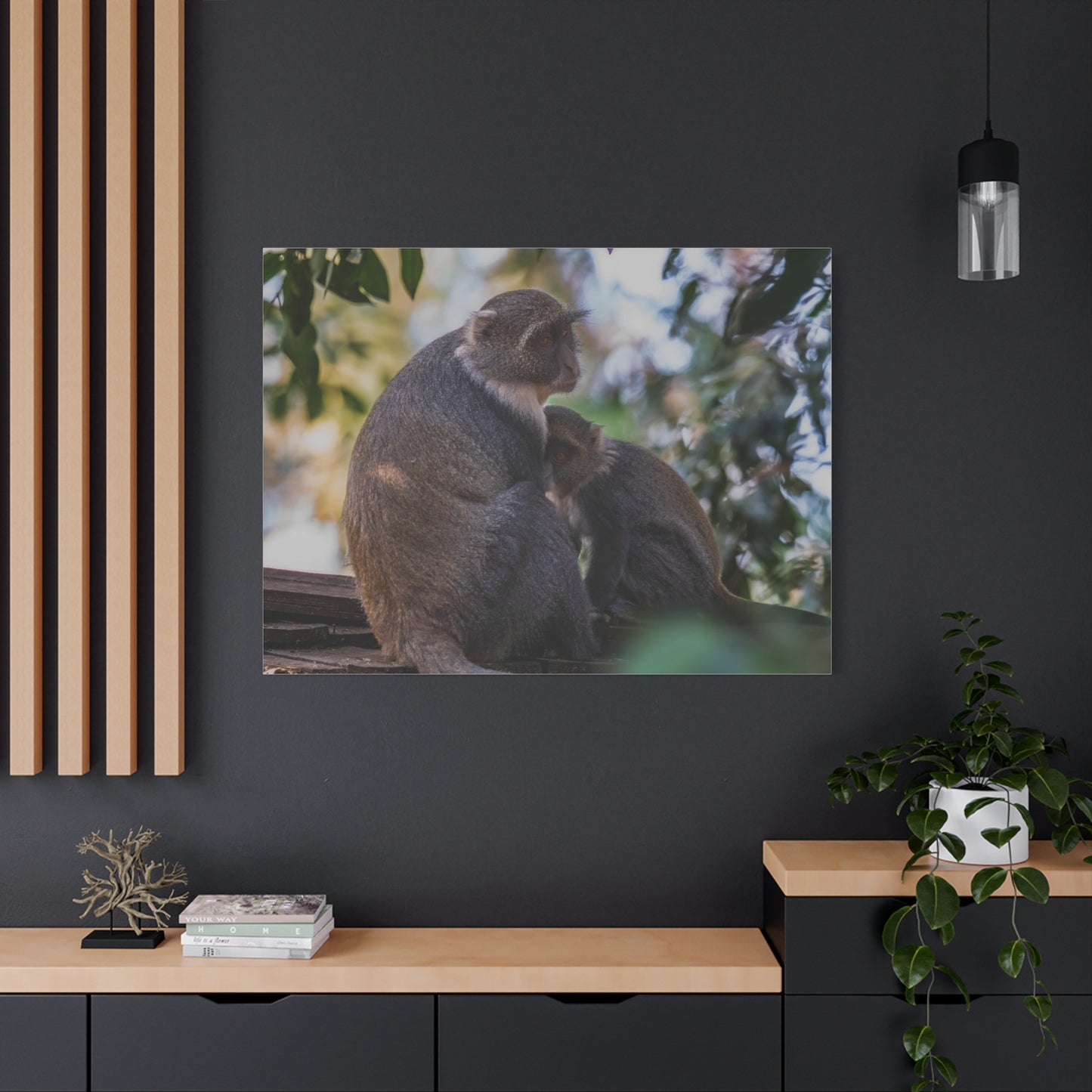 Canvas Print: Sykes Monkey