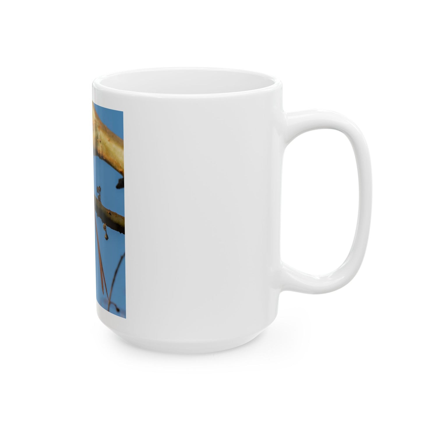 Ceramic Mug Wings of Africa Featuring African Paradise Flycatcher, Bird Lover Gift, Nature Inspired Cup, Coffee Mug, Tea Cup,