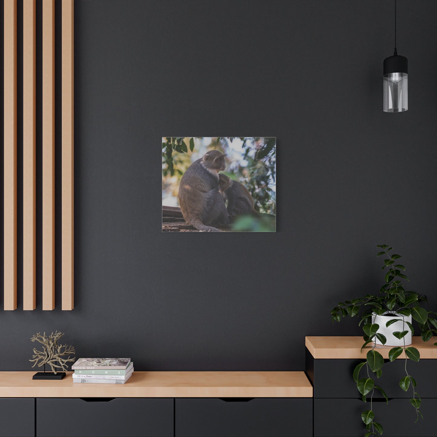 Canvas Print: Sykes Monkey