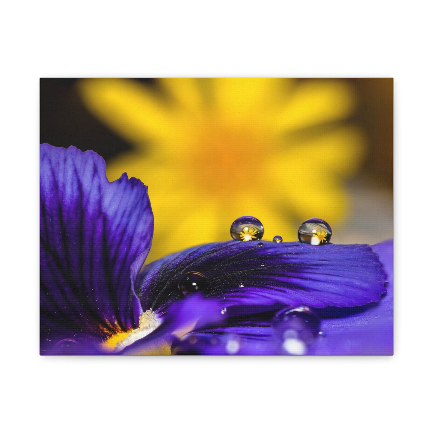 Canvas Print - Purple and Yellow