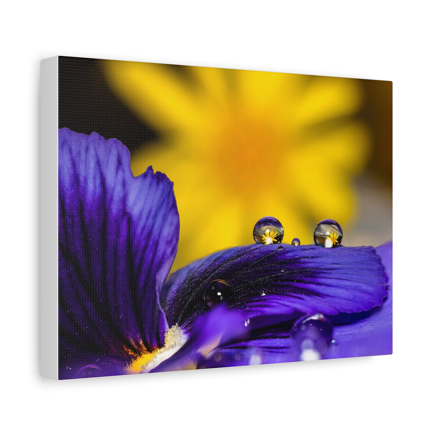Canvas Print - Purple and Yellow