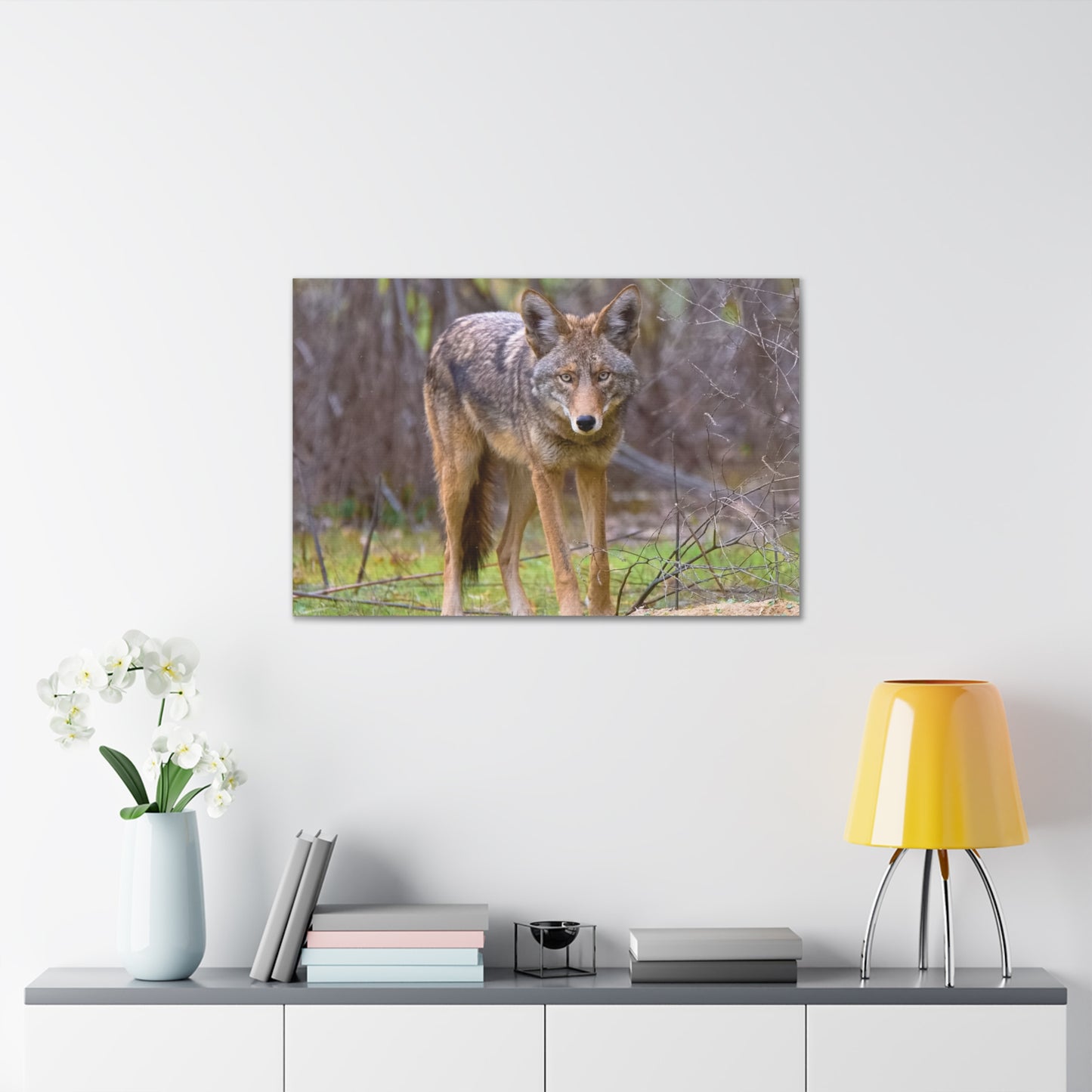 Canvas Wraps - Coyote on the Prowl Wall Art
