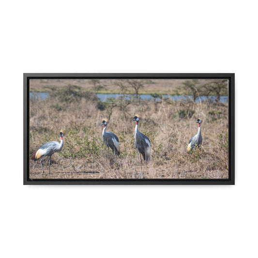 Canvas Wraps, African Crane in the Savannah Wall Art Decor - Horizontal Frame, Wildlife Nature Photography Print, Safari