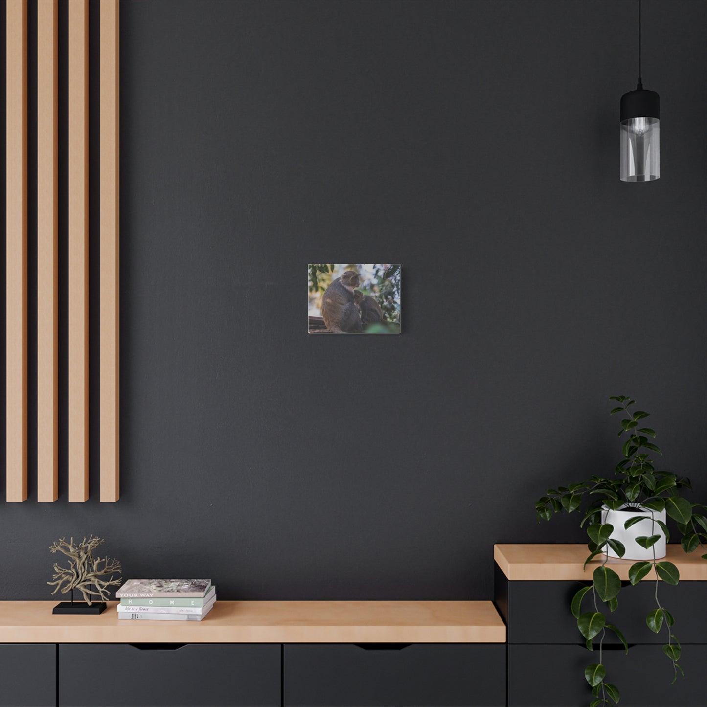 Canvas Print: Sykes Monkey