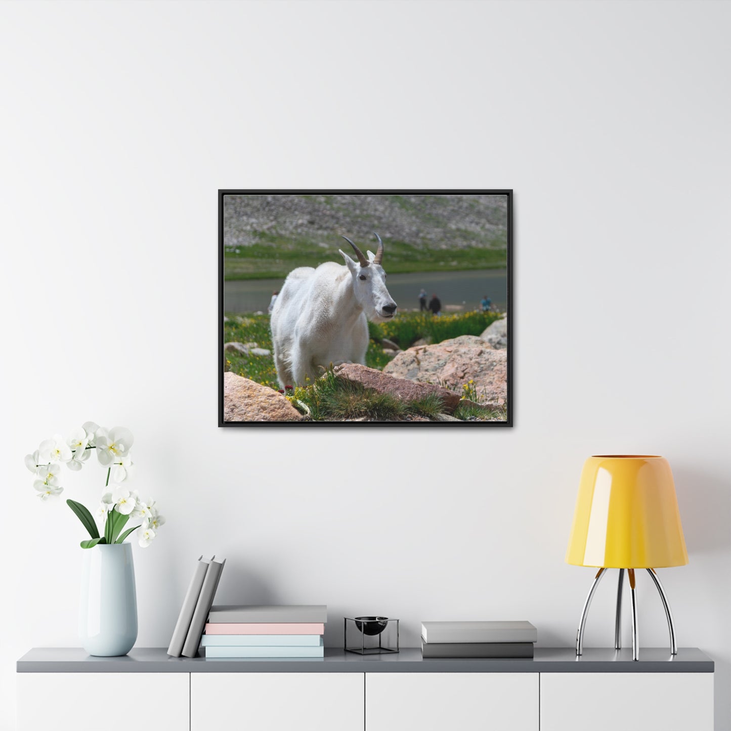 Canvas Wraps - Mountain Goat in Colorado