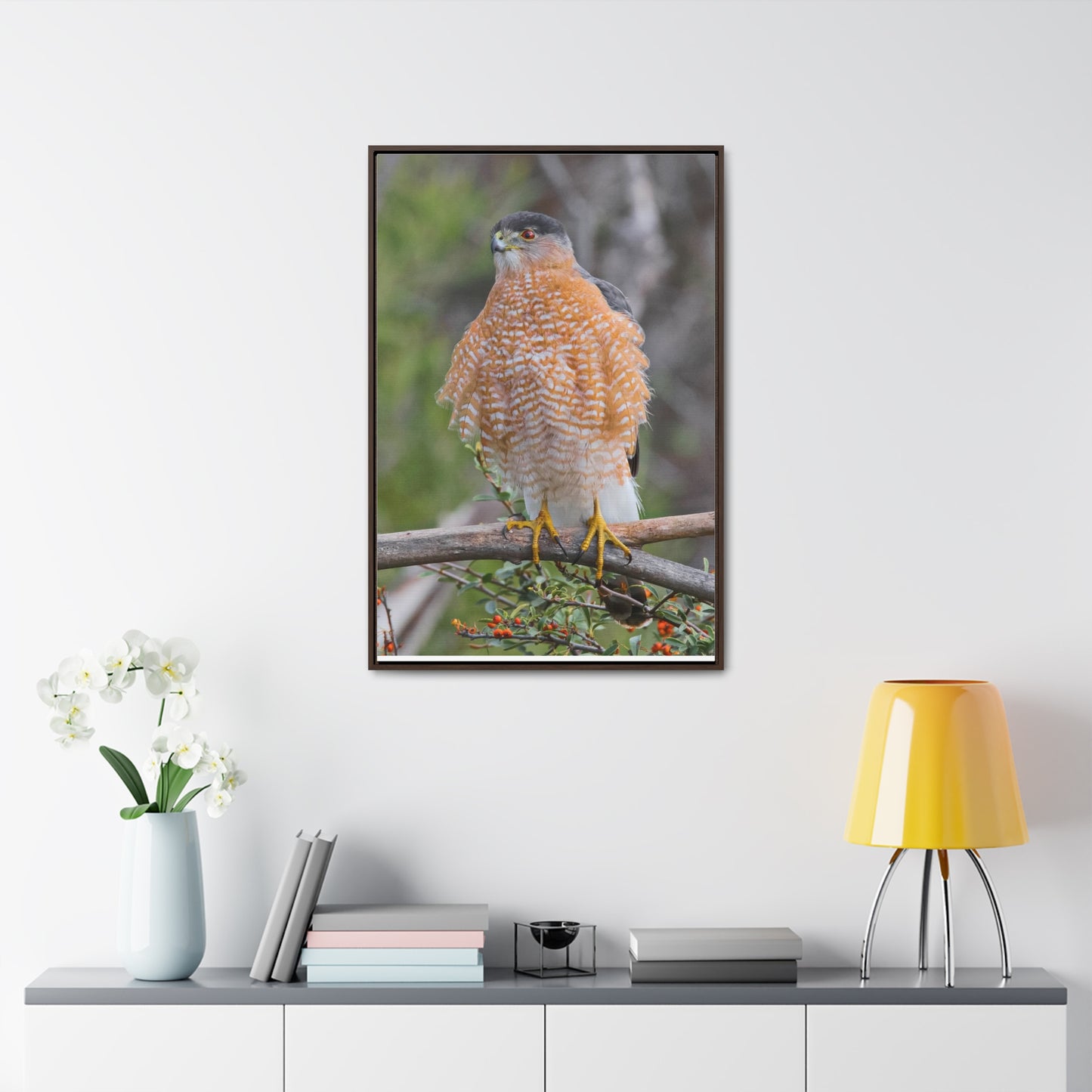 Canvas Wrap Cooper's Hawk