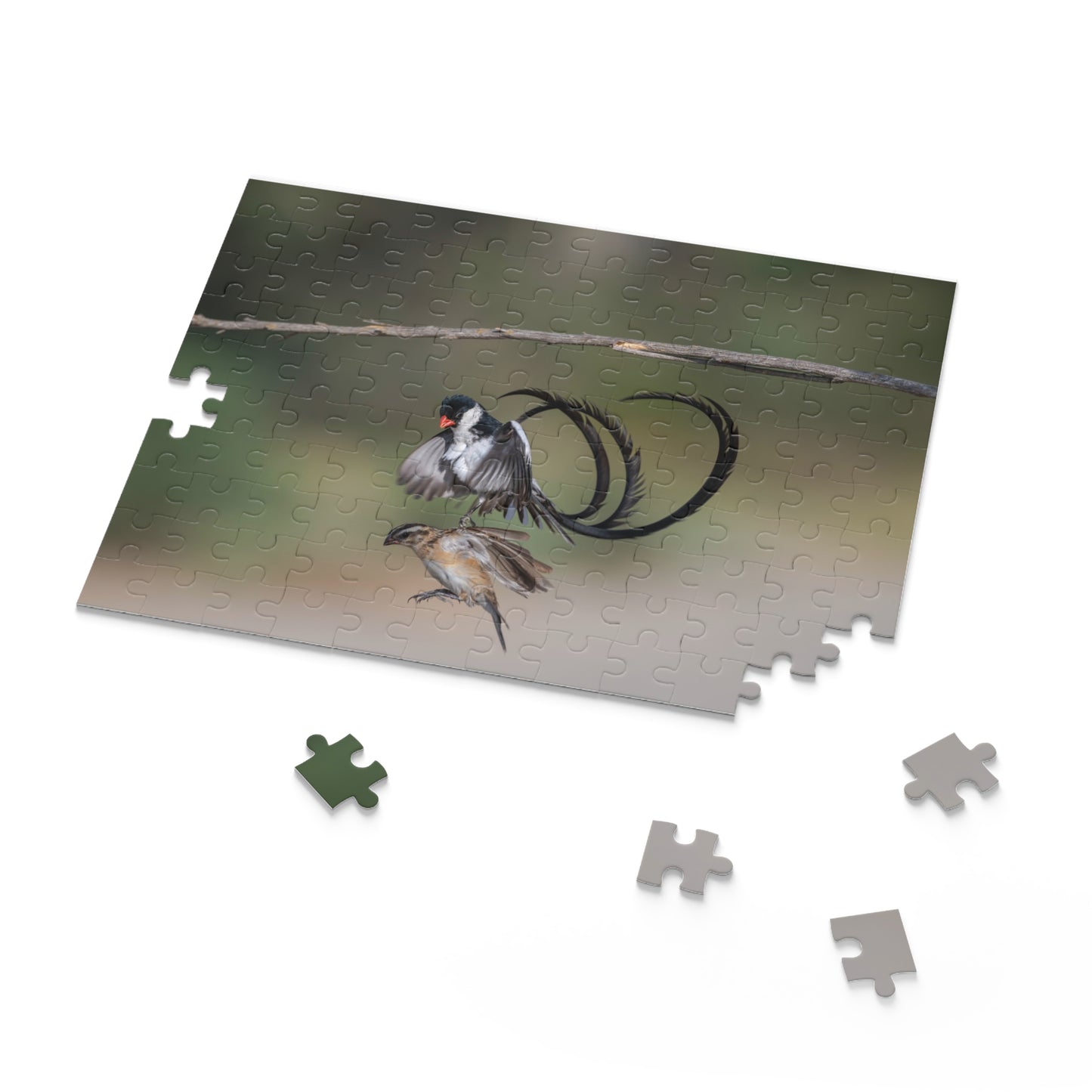 Puzzle, Male and Female Pin Tailed Wydah in Flight, Jigsaw Game, Bird Lover Gift, Relaxation Activity, 120, 252, 500-Piece