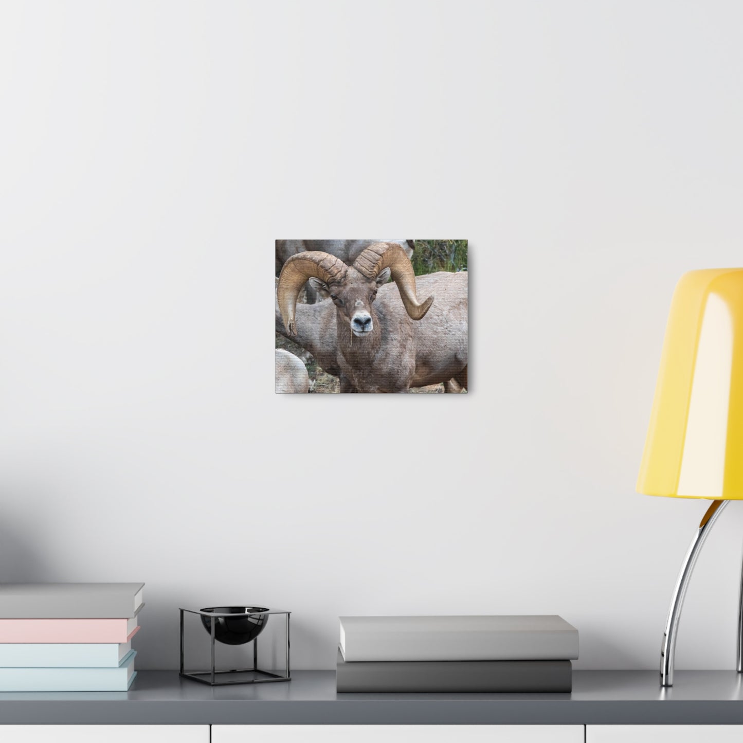 Canvas Gallery Wraps - Big Horn Sheep Wall Art, Wildlife Home Decor, Nature Photography, Animal Canvas Print, Mountain Artwork, Wildlife