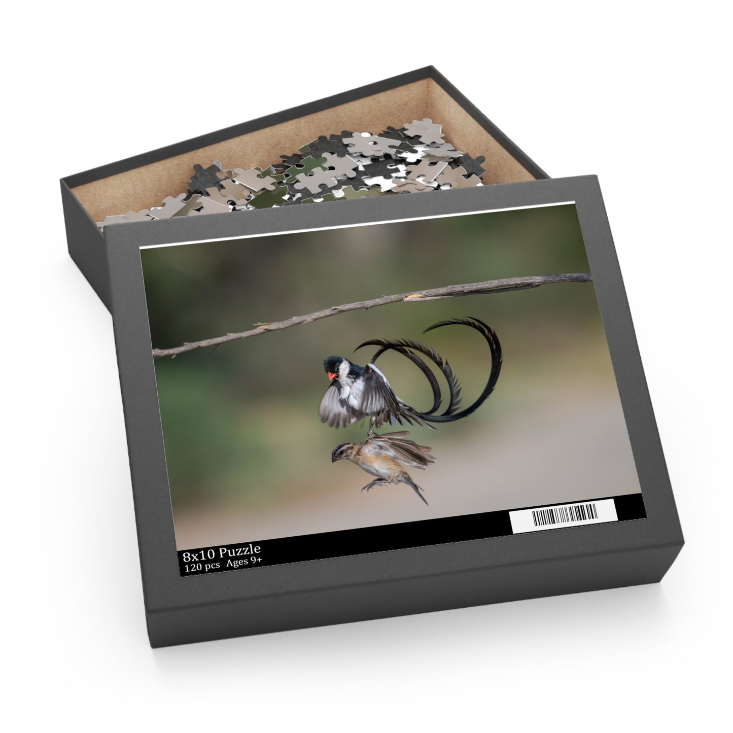 Puzzle, Male and Female Pin Tailed Wydah in Flight, Jigsaw Game, Bird Lover Gift, Relaxation Activity, 120, 252, 500-Piece