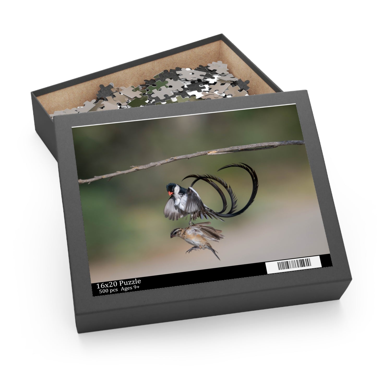 Puzzle, Male and Female Pin Tailed Wydah in Flight, Jigsaw Game, Bird Lover Gift, Relaxation Activity, 120, 252, 500-Piece