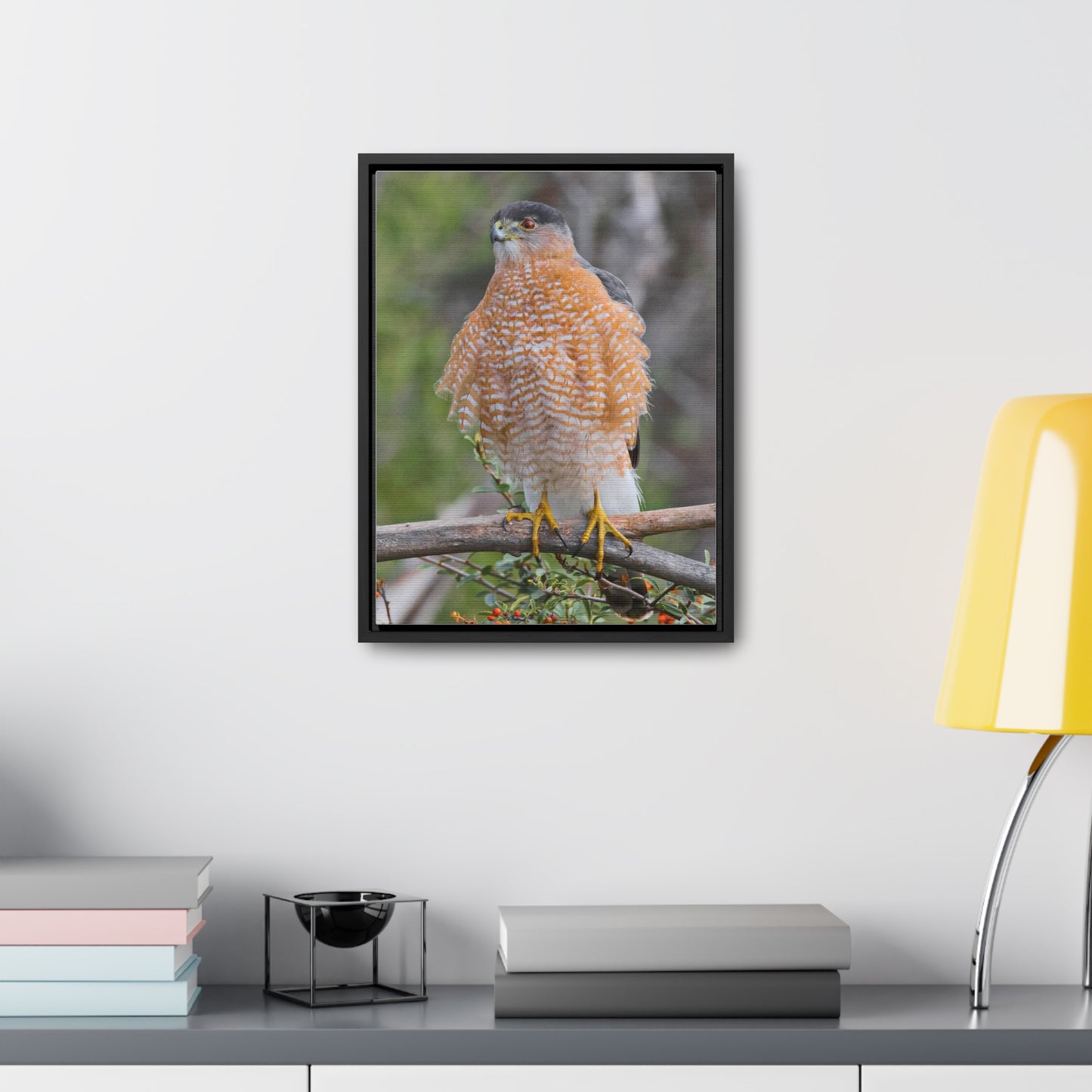 Canvas Wrap Cooper's Hawk