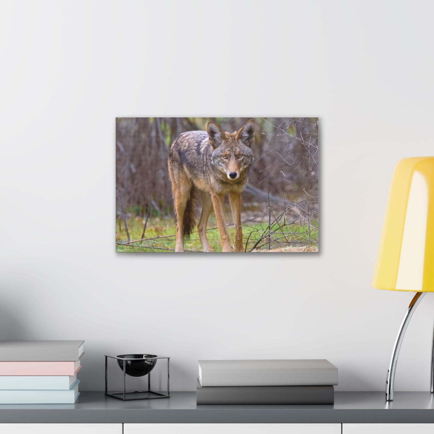 Canvas Wraps - Coyote on the Prowl Wall Art