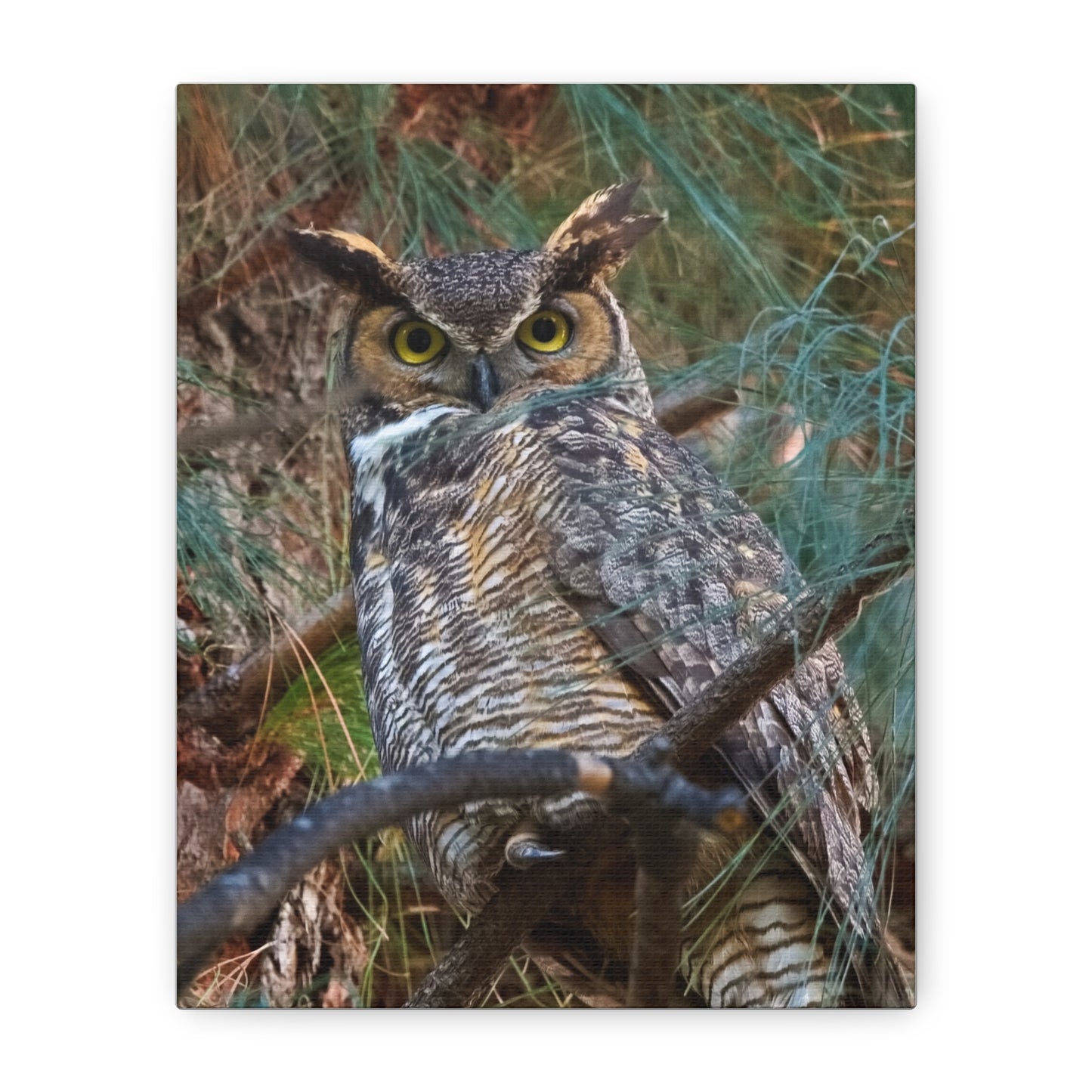 Canvas Print - Great Horned Owl Guardian of the Night