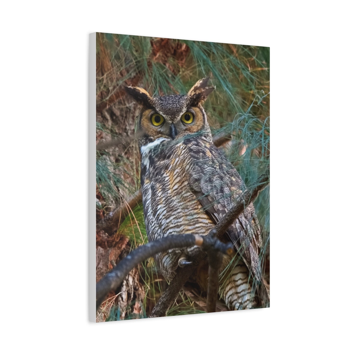 Canvas Print - Great Horned Owl Guardian of the Night