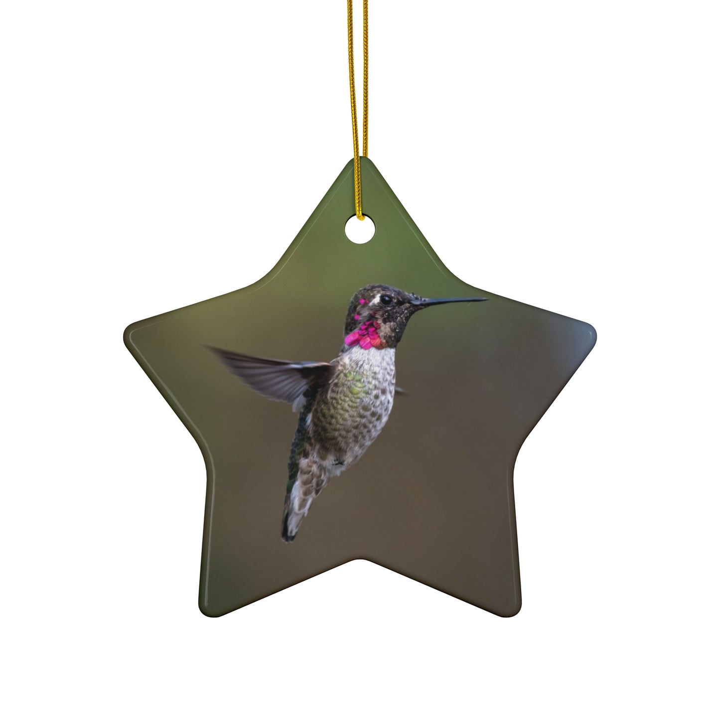Humming Bird Ceramic Ornament
