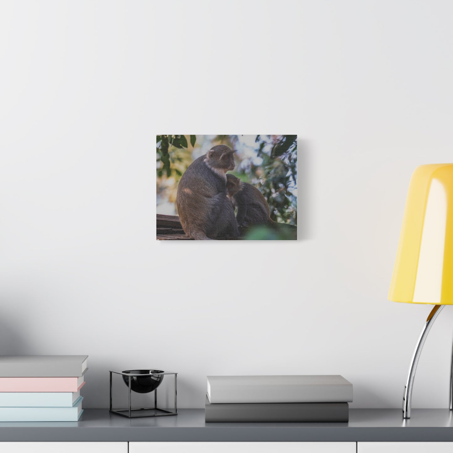 Canvas Print: Sykes Monkey