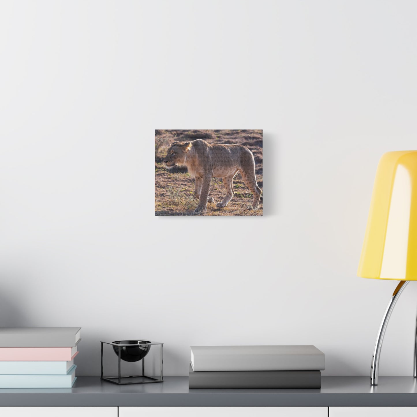 Canvas Print - The Lion King of the Jungle in the African Savannah