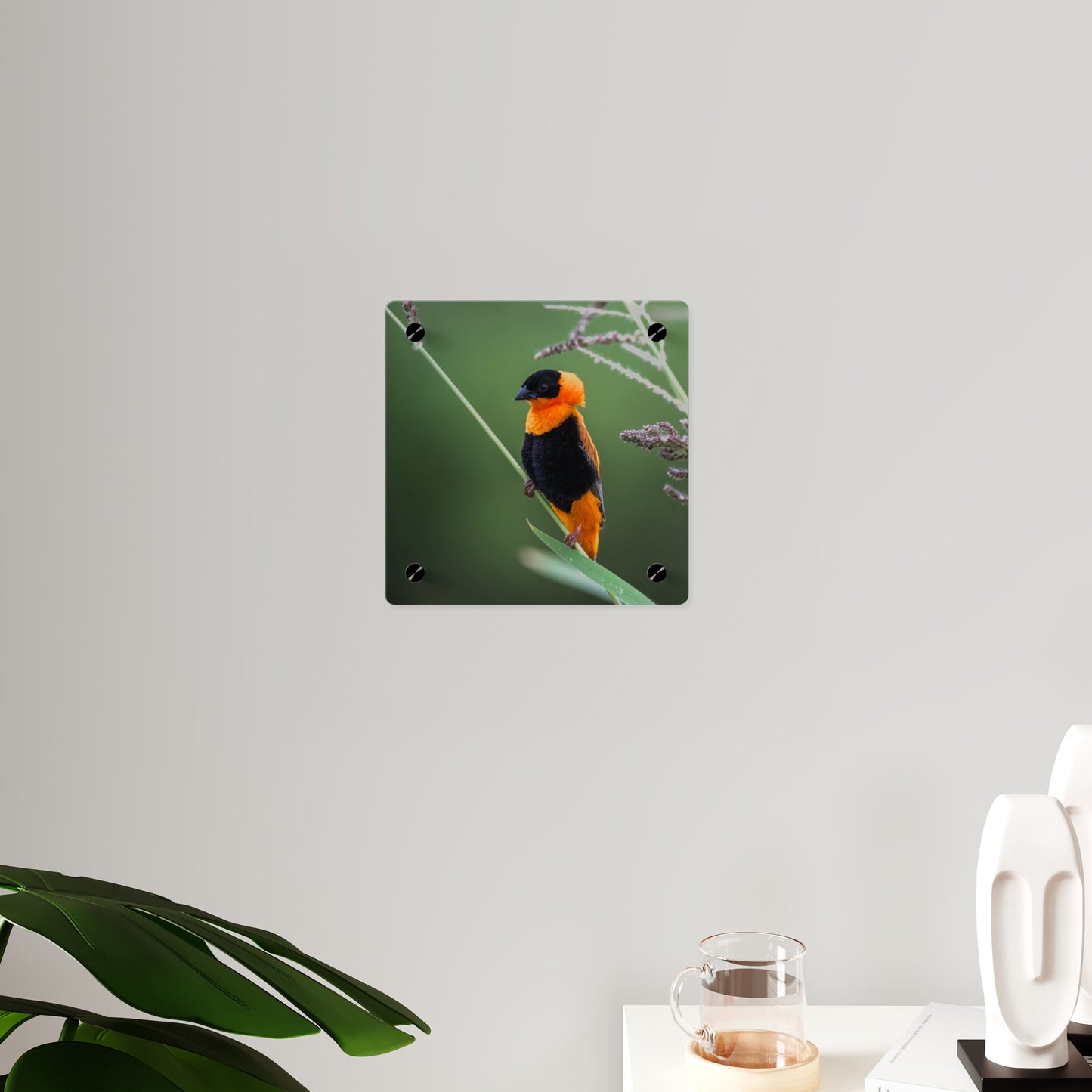 Acrylic Wall Art Panel - Vibrant Northern Red Bishop Weaver from Africa