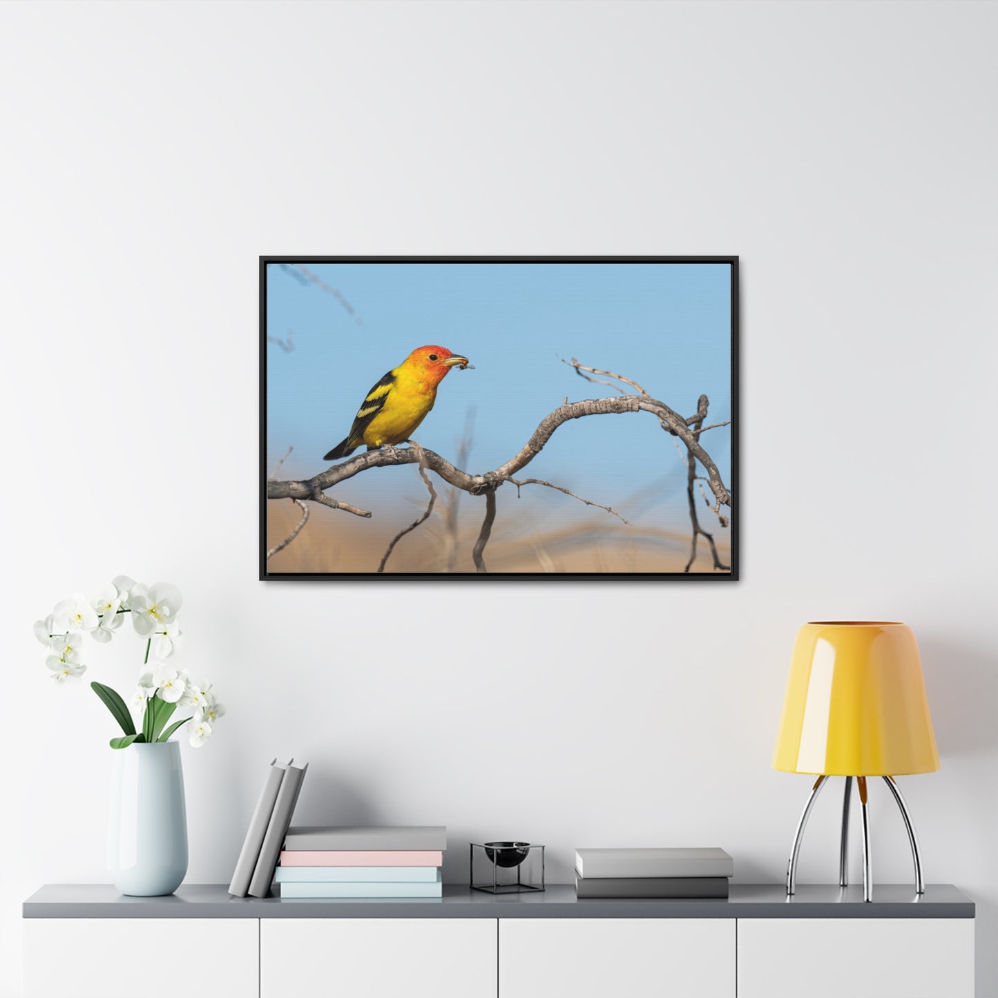 Canvas Wrap - Western Tanager