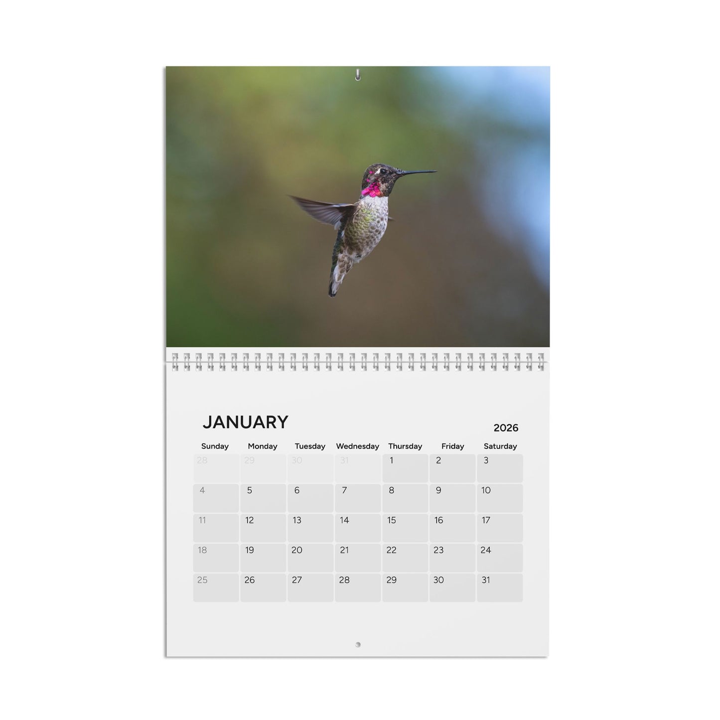 2026 Hummingbird Calendar — Joy, Resilience & Hope