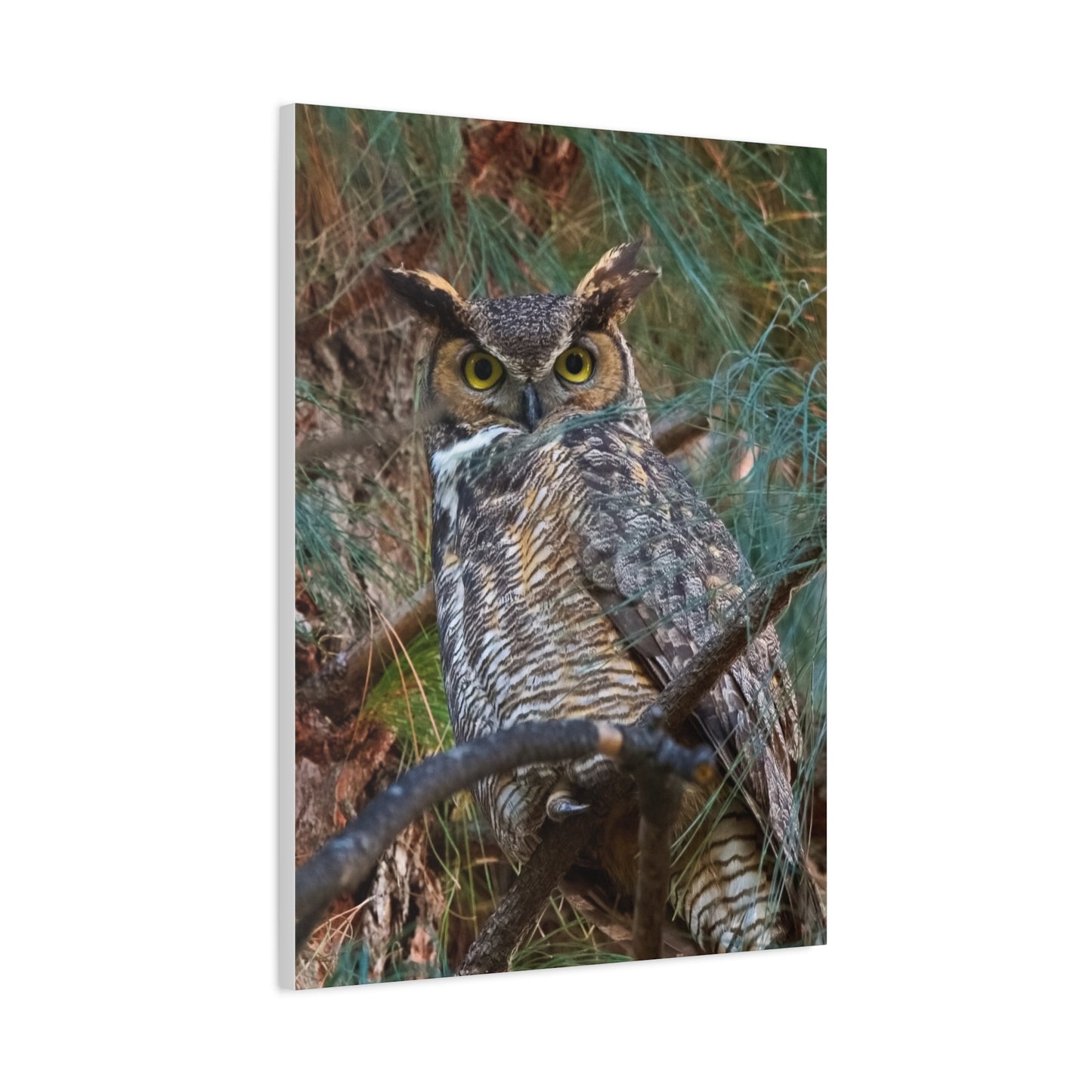 Canvas Print - Great Horned Owl Guardian of the Night