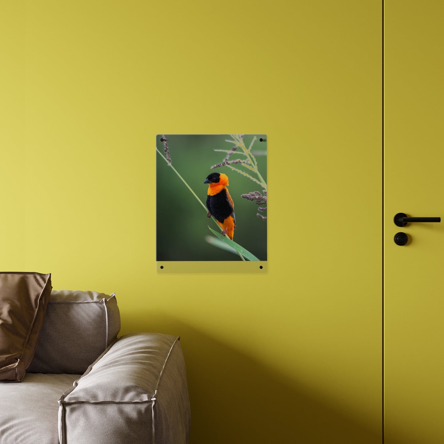 Acrylic Wall Art Panel - Vibrant Northern Red Bishop Weaver from Africa