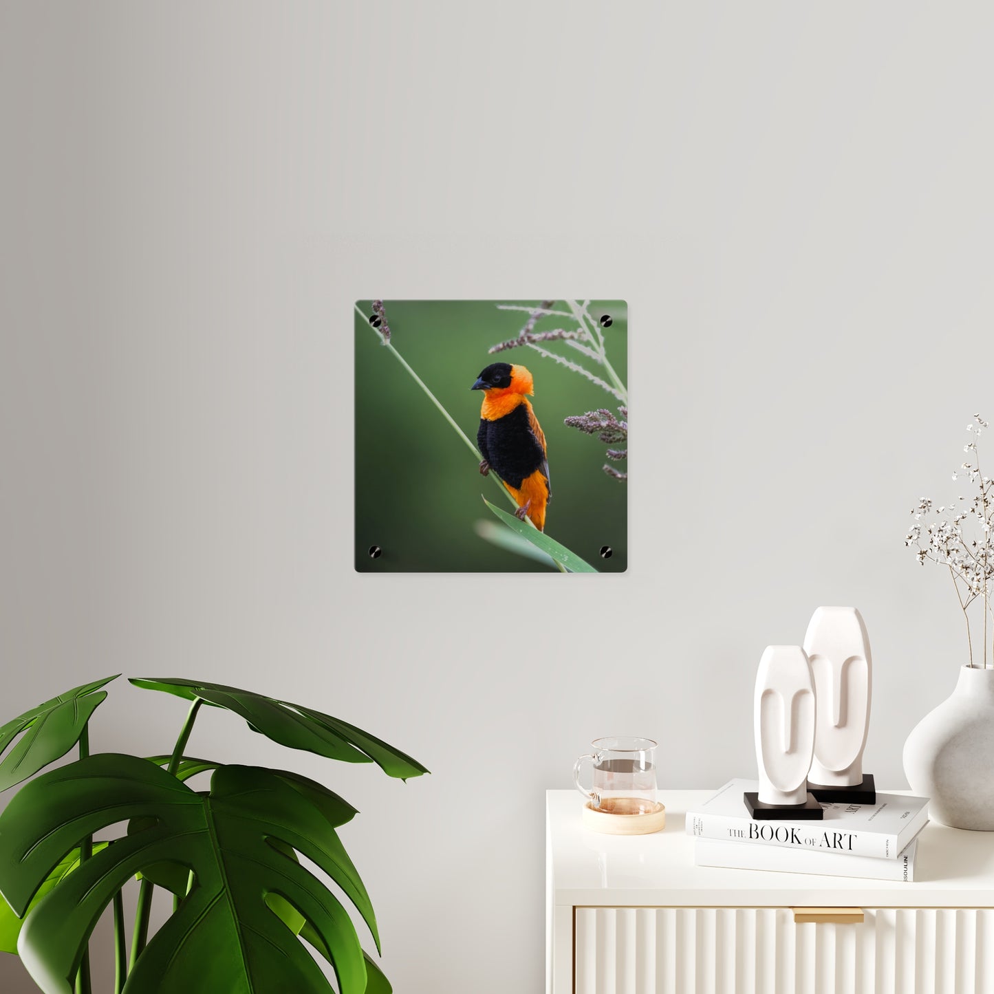 Acrylic Wall Art Panel - Vibrant Northern Red Bishop Weaver from Africa