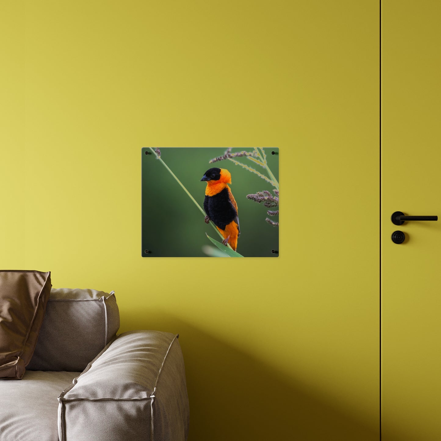 Acrylic Wall Art Panel - Vibrant Northern Red Bishop Weaver from Africa