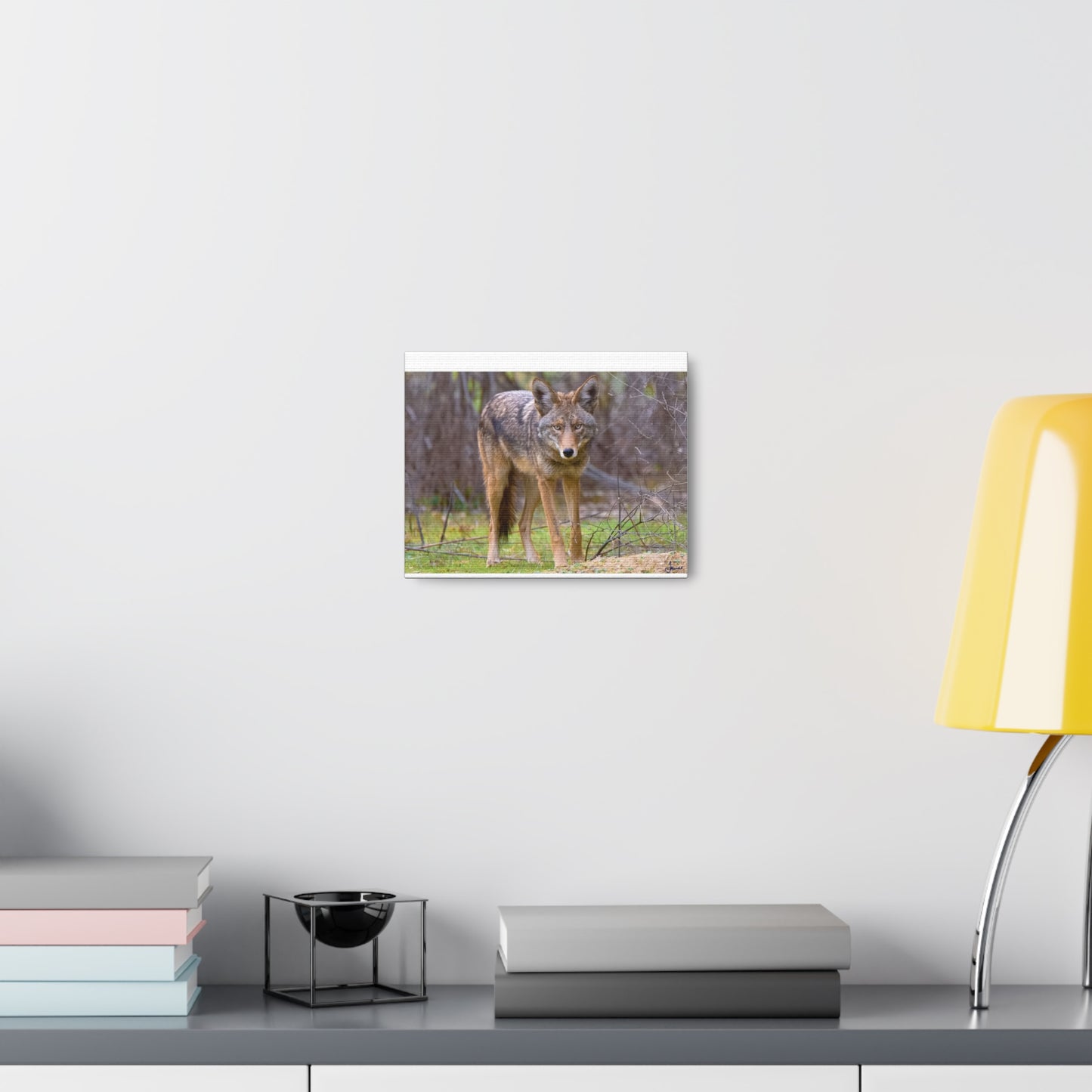 Canvas Wraps - Coyote on the Prowl Wall Art