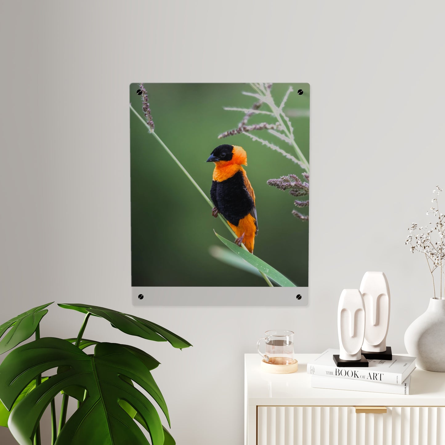 Acrylic Wall Art Panel - Vibrant Northern Red Bishop Weaver from Africa